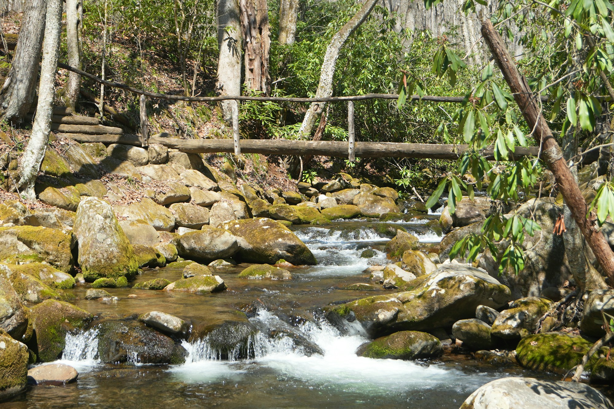 A log footbridge over a rocky stream in the Great Smoky Mountains.