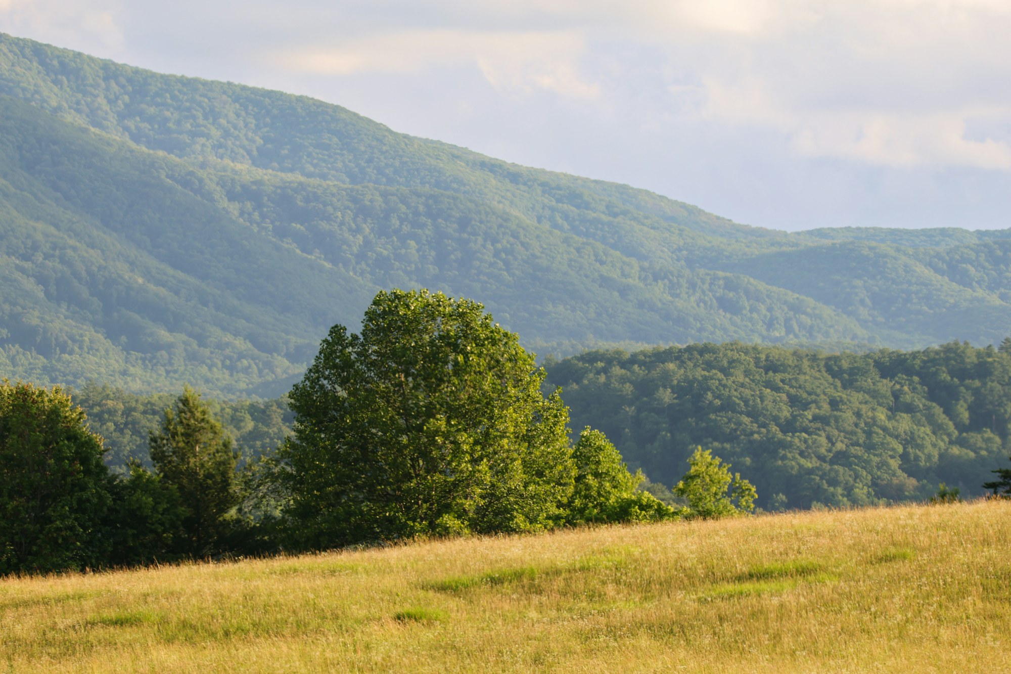 A long view down a valley in the Great Smoky Mountains.