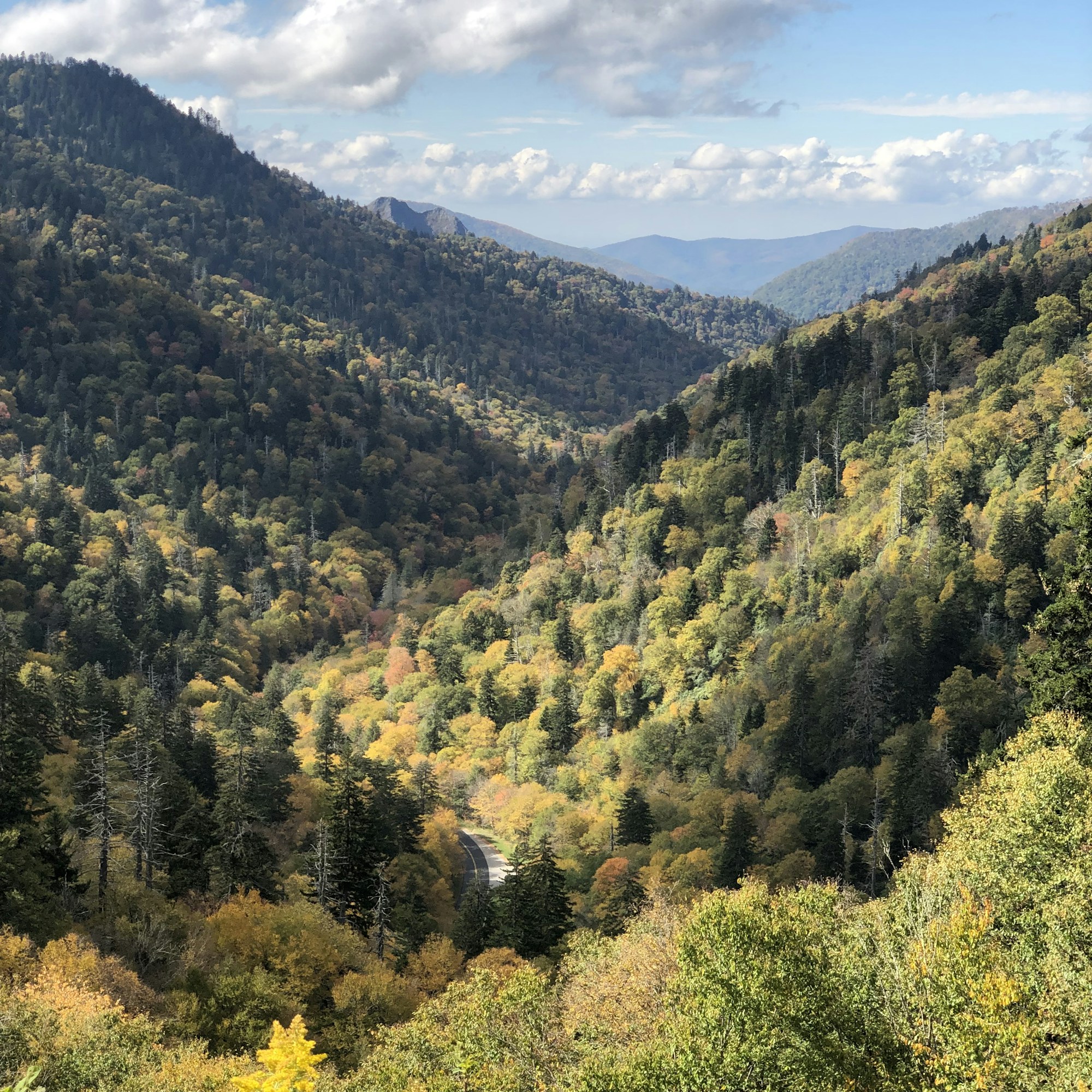 Autumn color across the forested ridges of the Great Smoky Mountains.