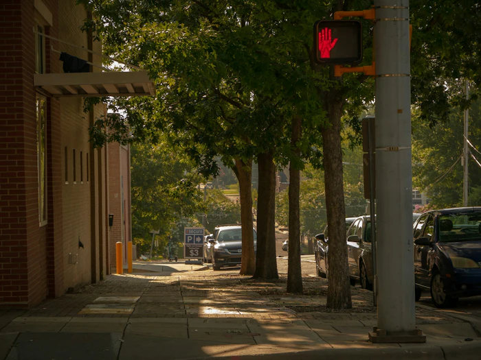 A tree-lined street in downtown Durham, North Carolina.
