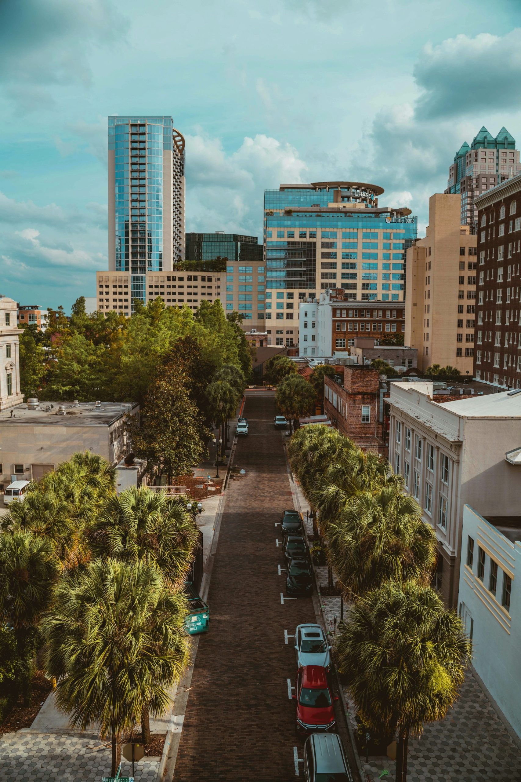 A tree-lined street running into downtown Orlando.