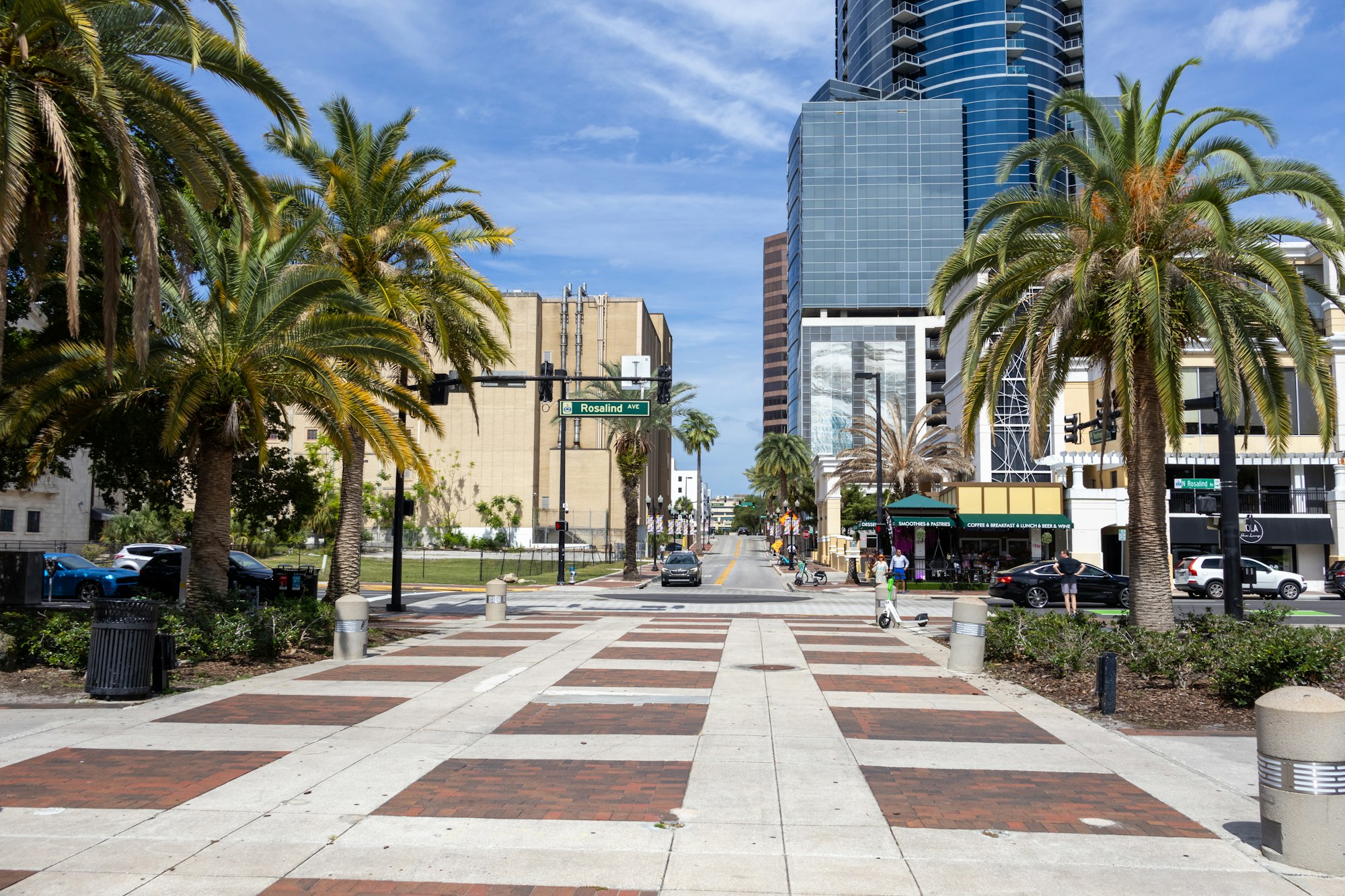 A palm-lined street in downtown Orlando, Florida.