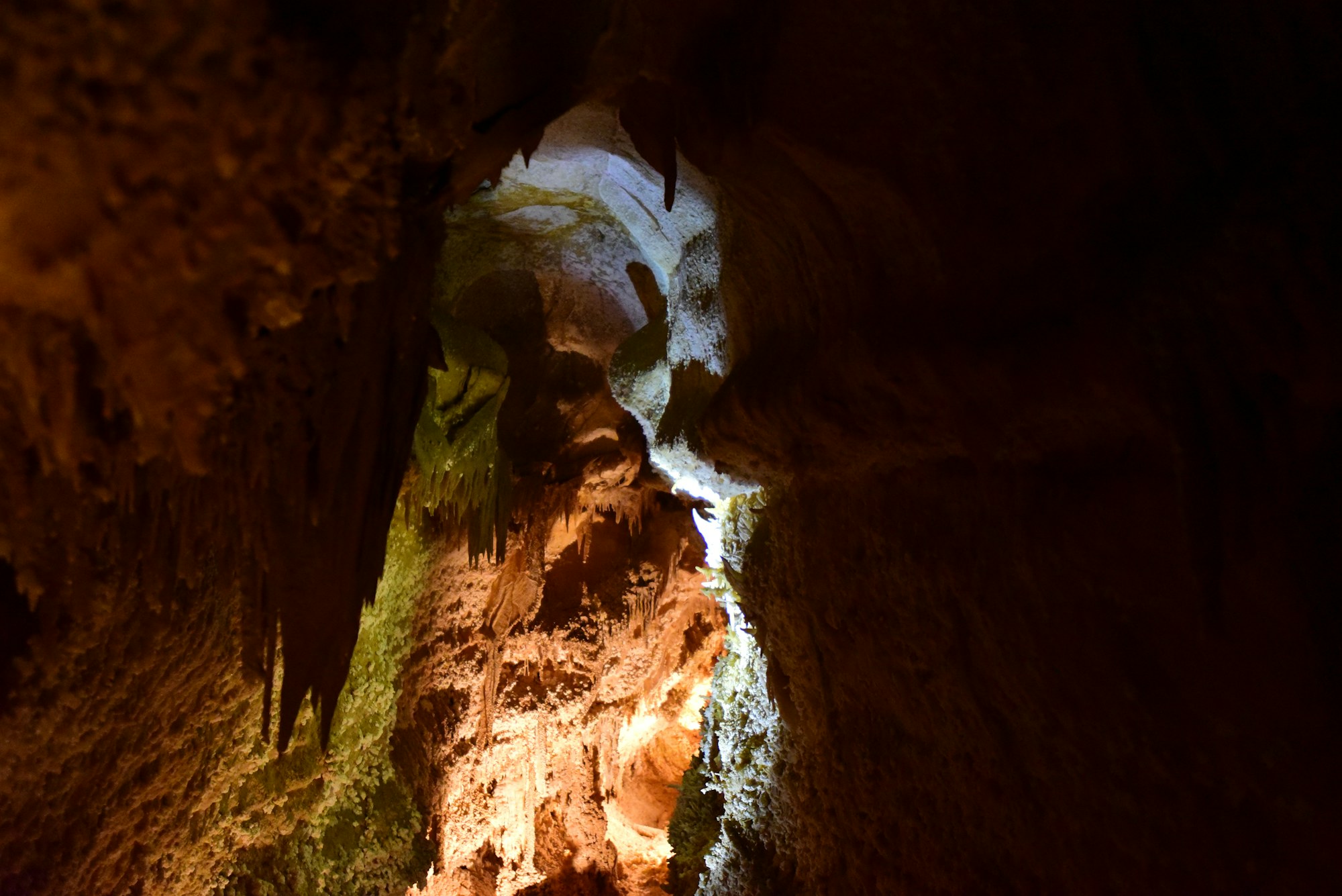 Illuminated limestone formations inside Natural Bridge Caverns.