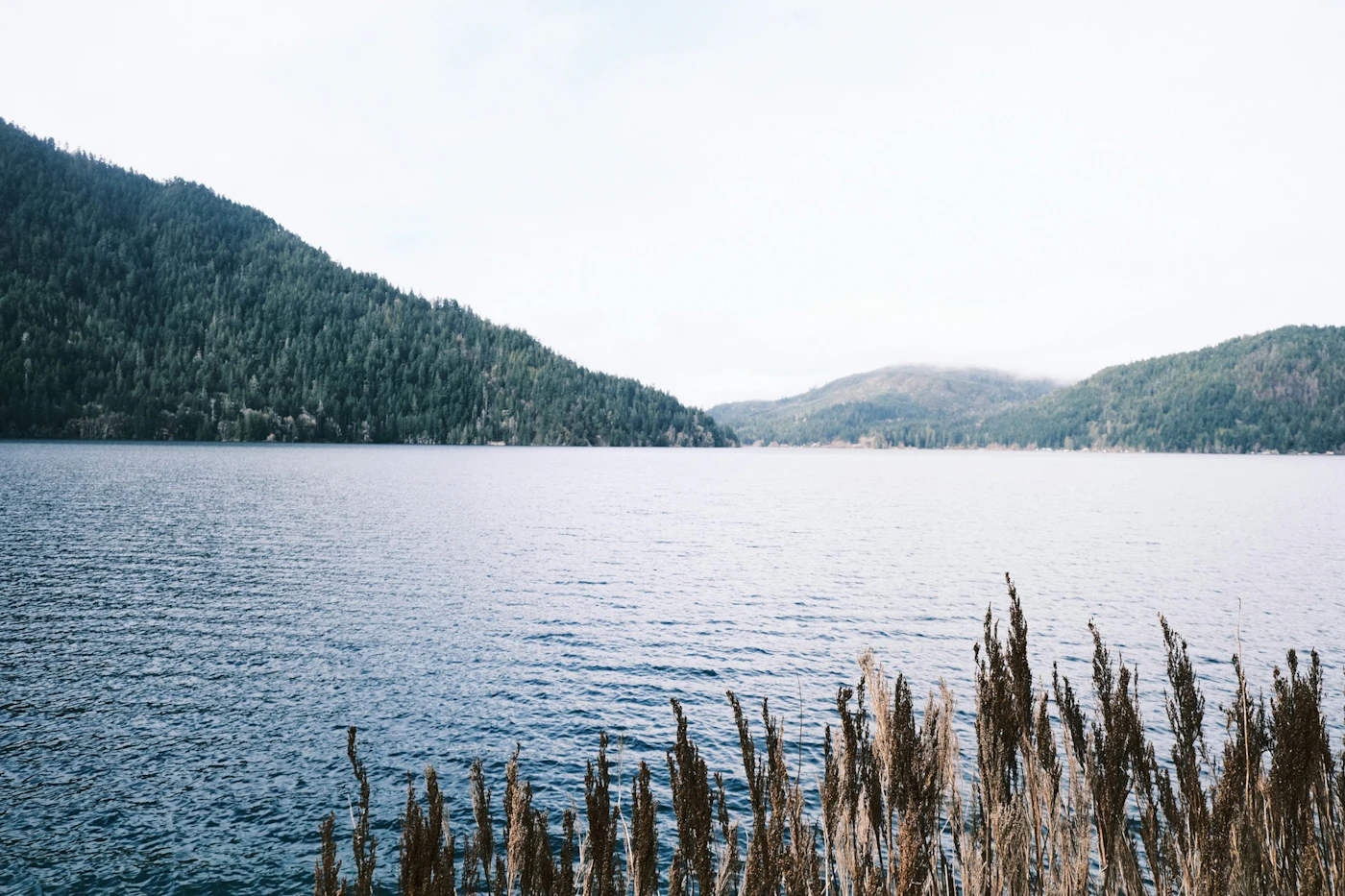 Lake Crescent beneath forested slopes in Olympic National Park.