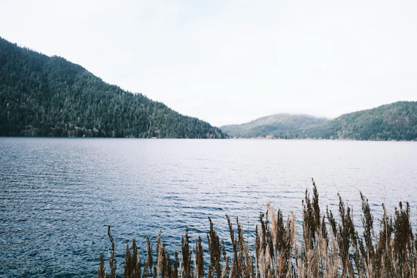 Lake Crescent beneath forested slopes in Olympic National Park.