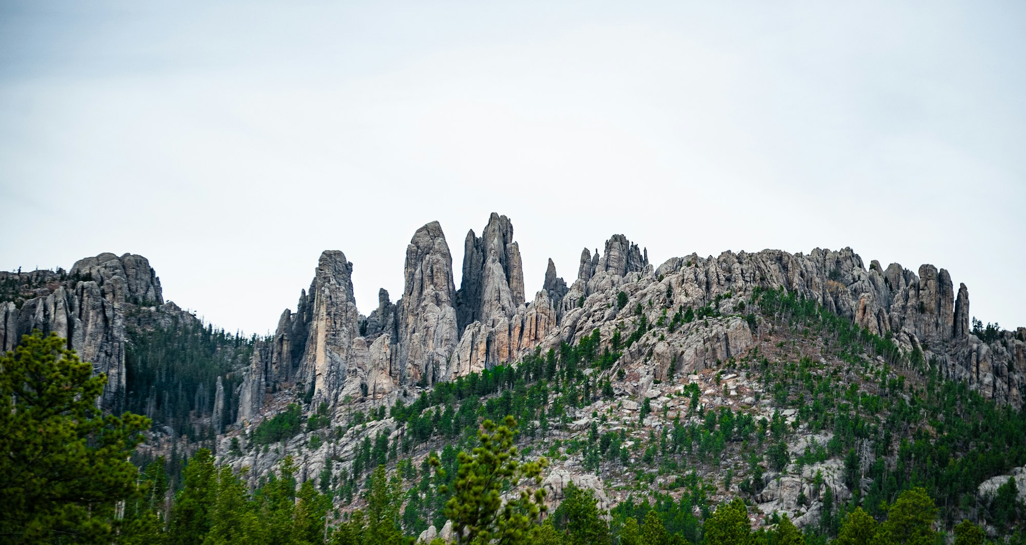 The Needles granite spires in the South Dakota Black Hills.