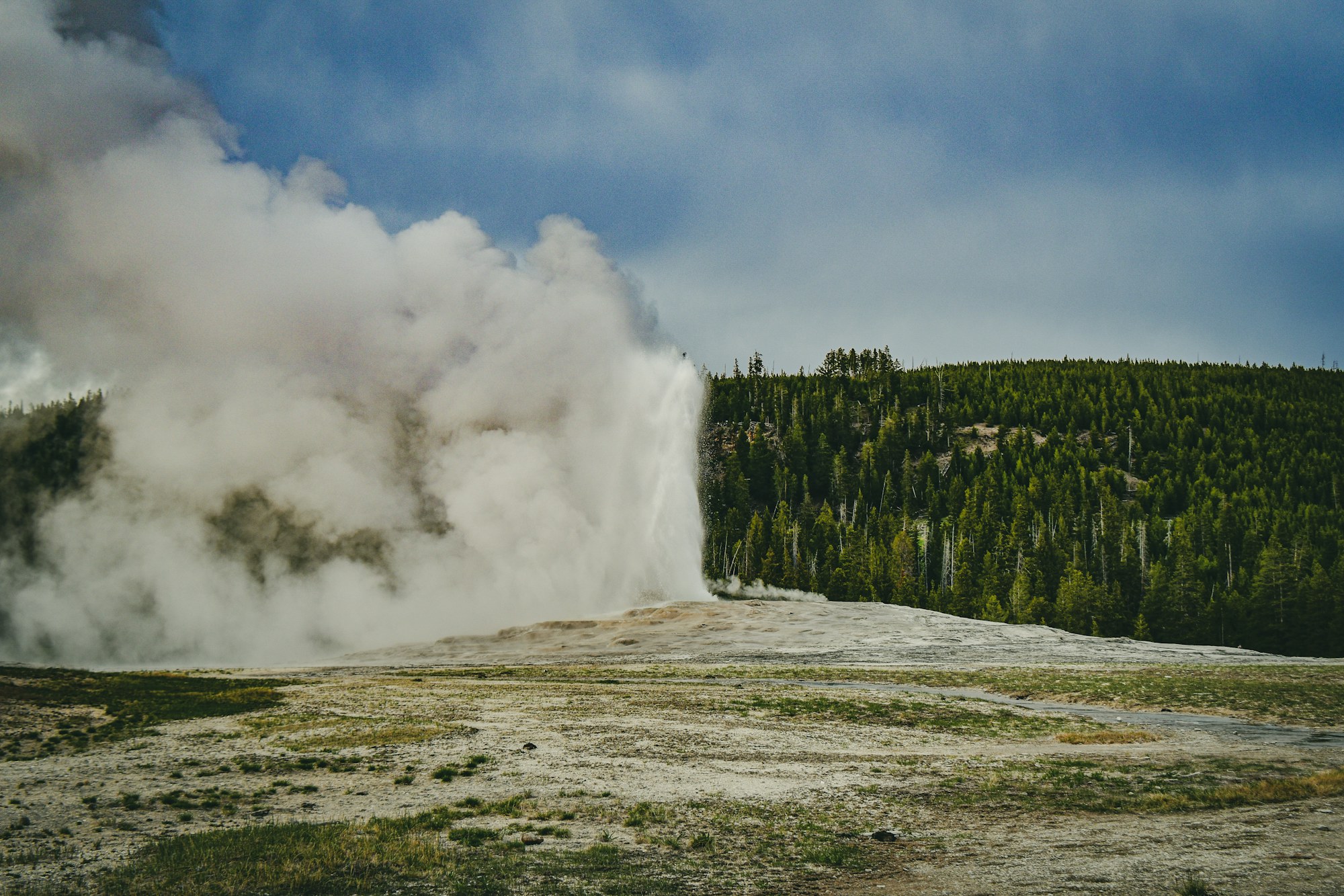 A geyser erupting in Yellowstone’s Upper Geyser Basin.