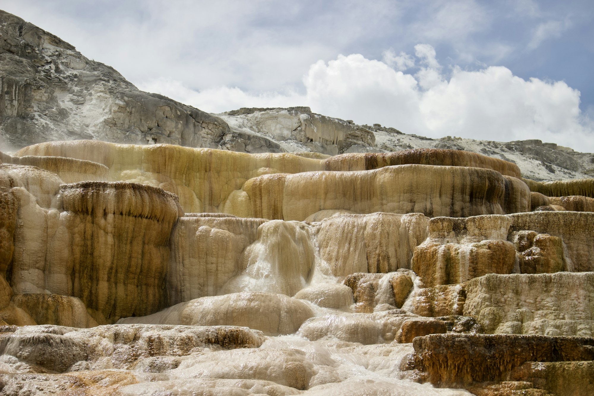 The stepped travertine terraces at Mammoth Hot Springs, Yellowstone.
