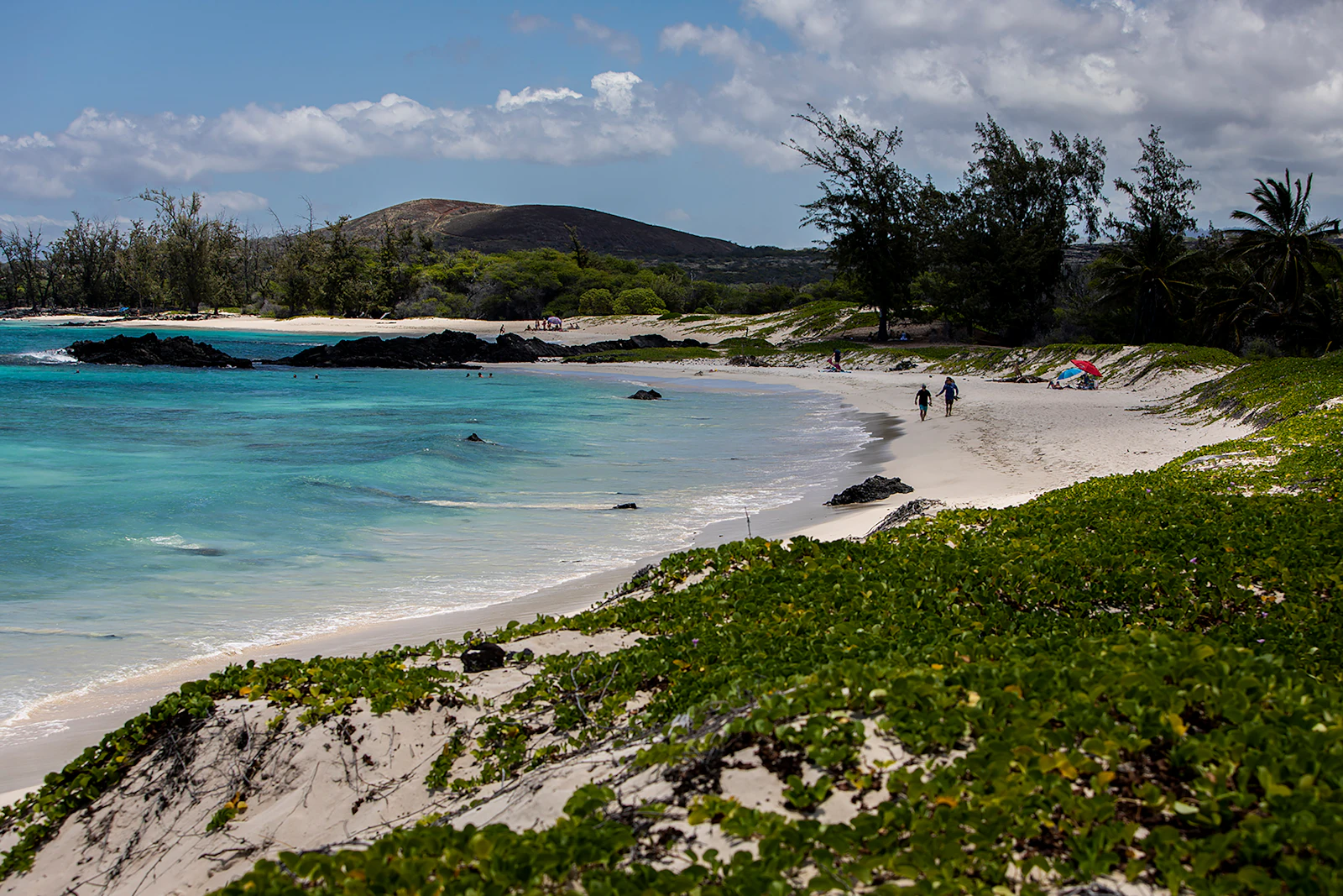A white sand beach curves along turquoise water below a low brown hill