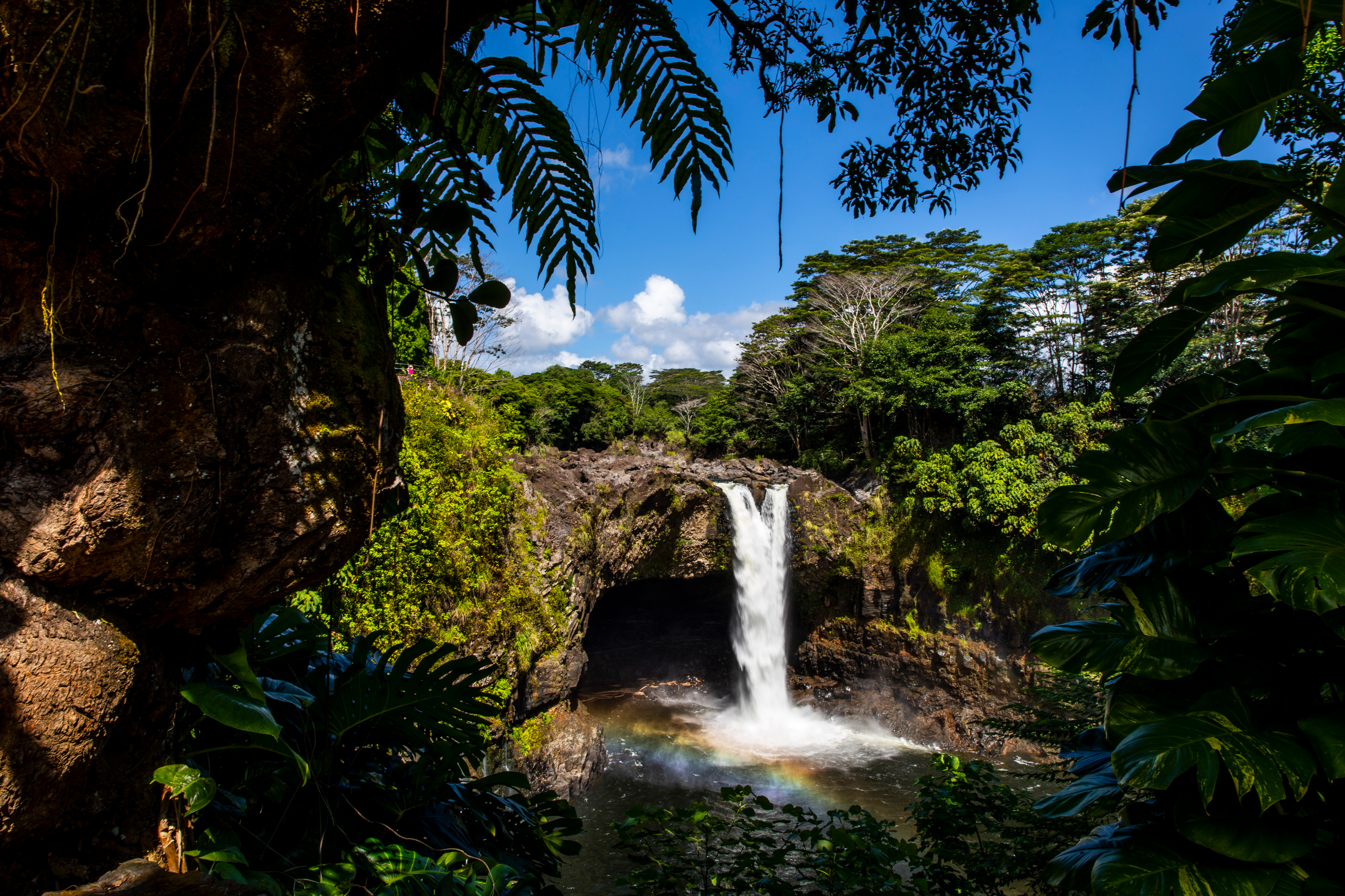 A waterfall framed by tropical foliage drops into a rocky pool