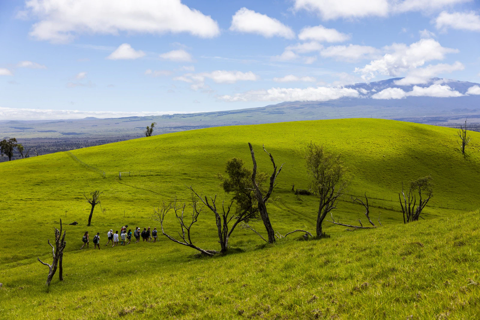 A line of hikers crosses a wide green hillside dotted with bare trees, a high mountain under cloud behind