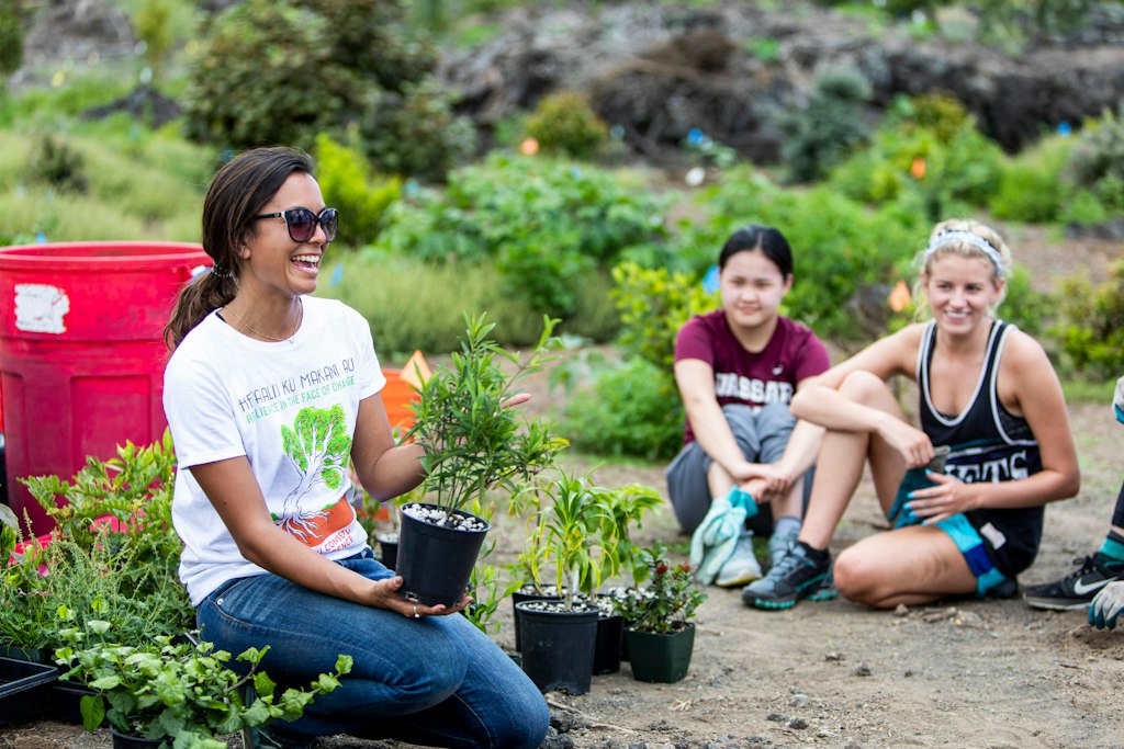 Garden Service Project in Hawaii