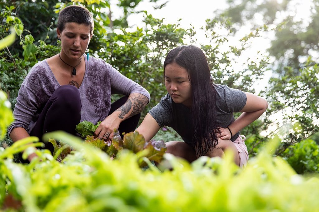 agricultural service learning in Hawaii