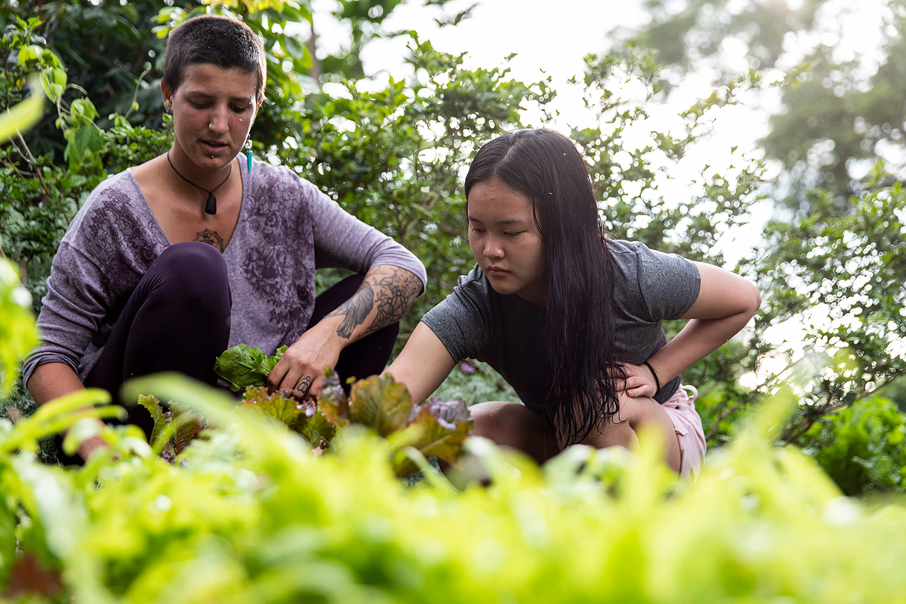 Photo of two students doing a service project and working on a garden.