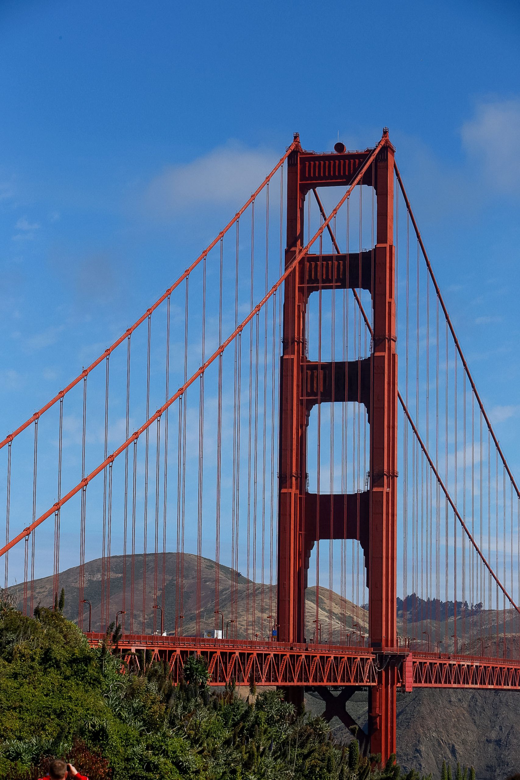 Suspension cables and a tower of the Golden Gate Bridge, studied on the science day.