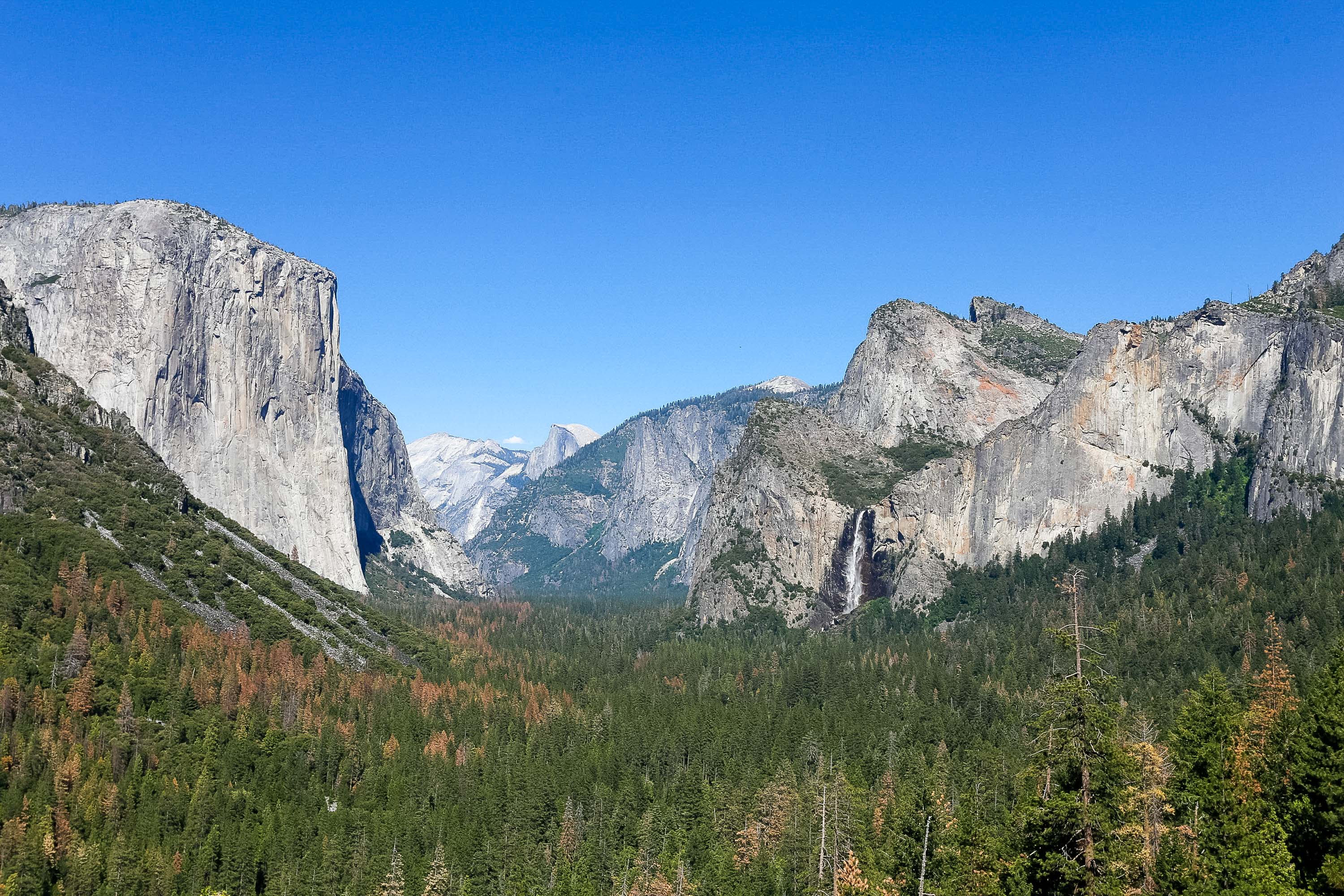 Yosemite Valley with Half Dome at its head.