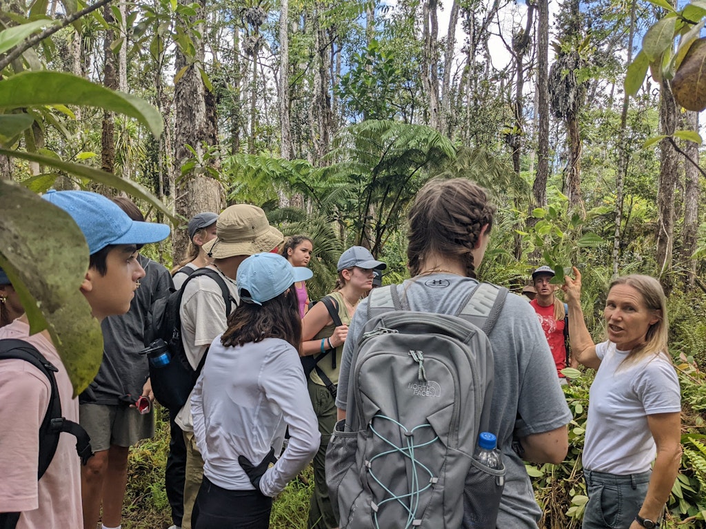 Students are exploring Hawaii's Big Island. A leader is giving an environmental conservation lesson.