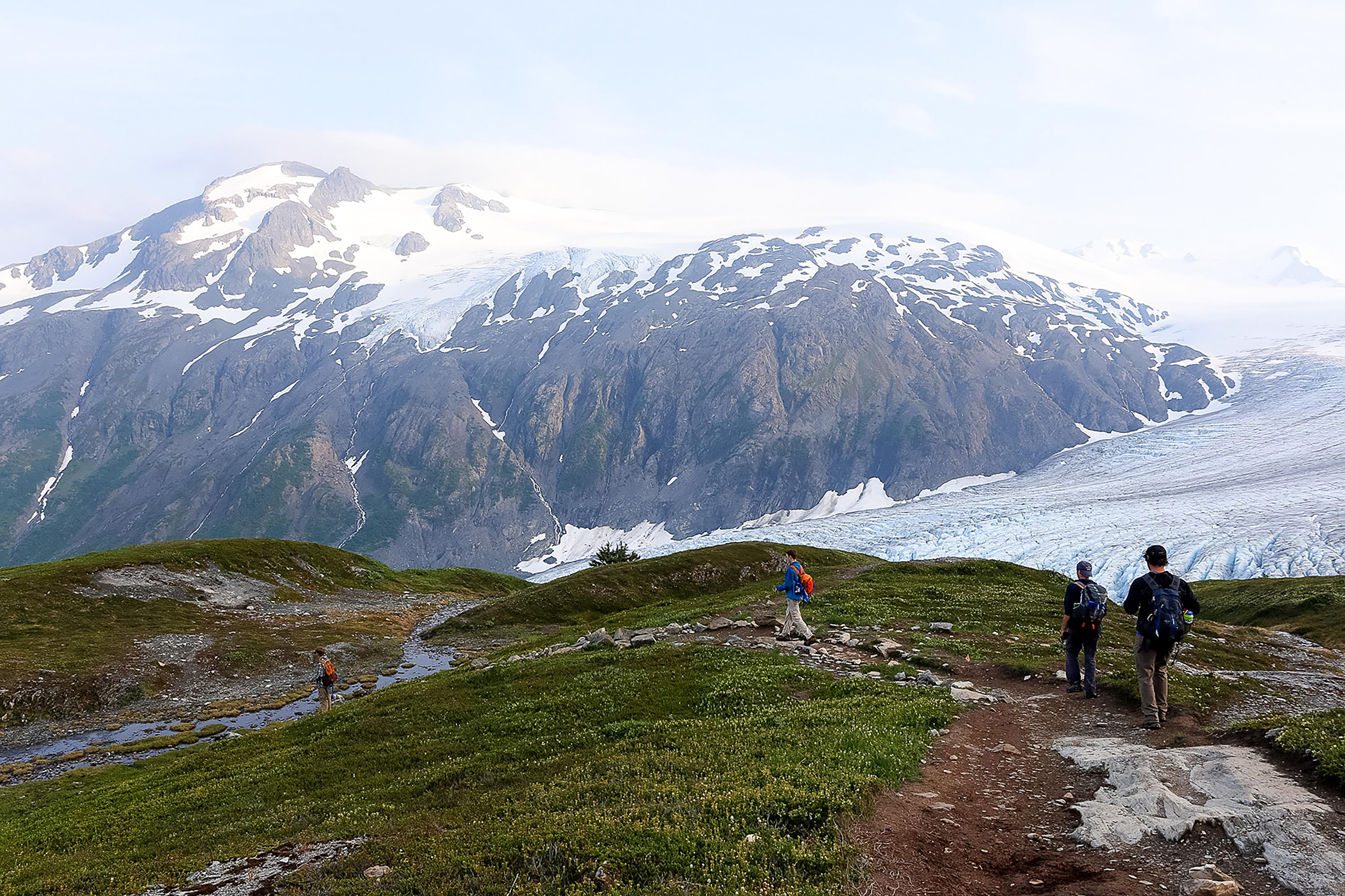 Students hike a grassy ridge trail with snow-capped mountains and a glacier behind them