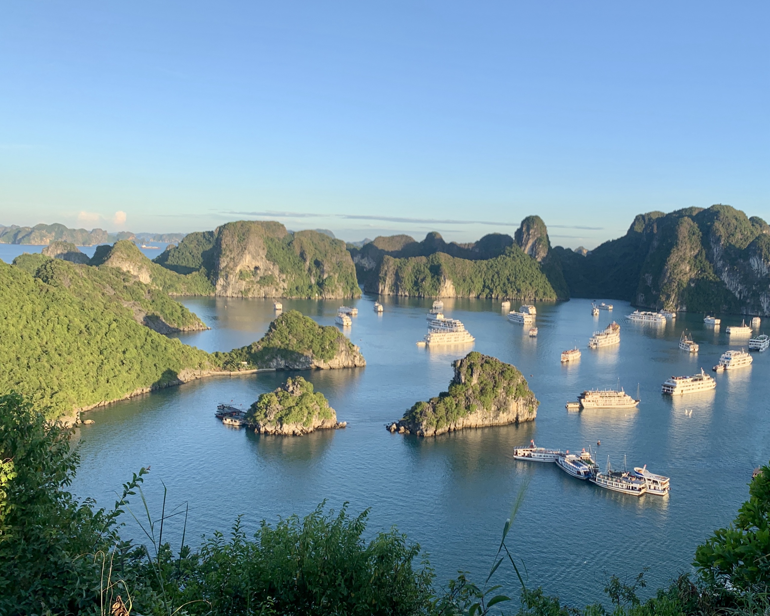 Halong Bay's limestone islands and cruise boats, seen from a lookout on a school trip to Vietnam