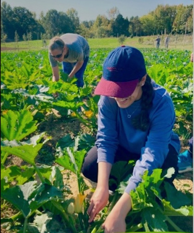 Vildan Soguktas - Inspiring Change: The Next Generation of Women Leaders in Climate and Planetary Health - Image 2