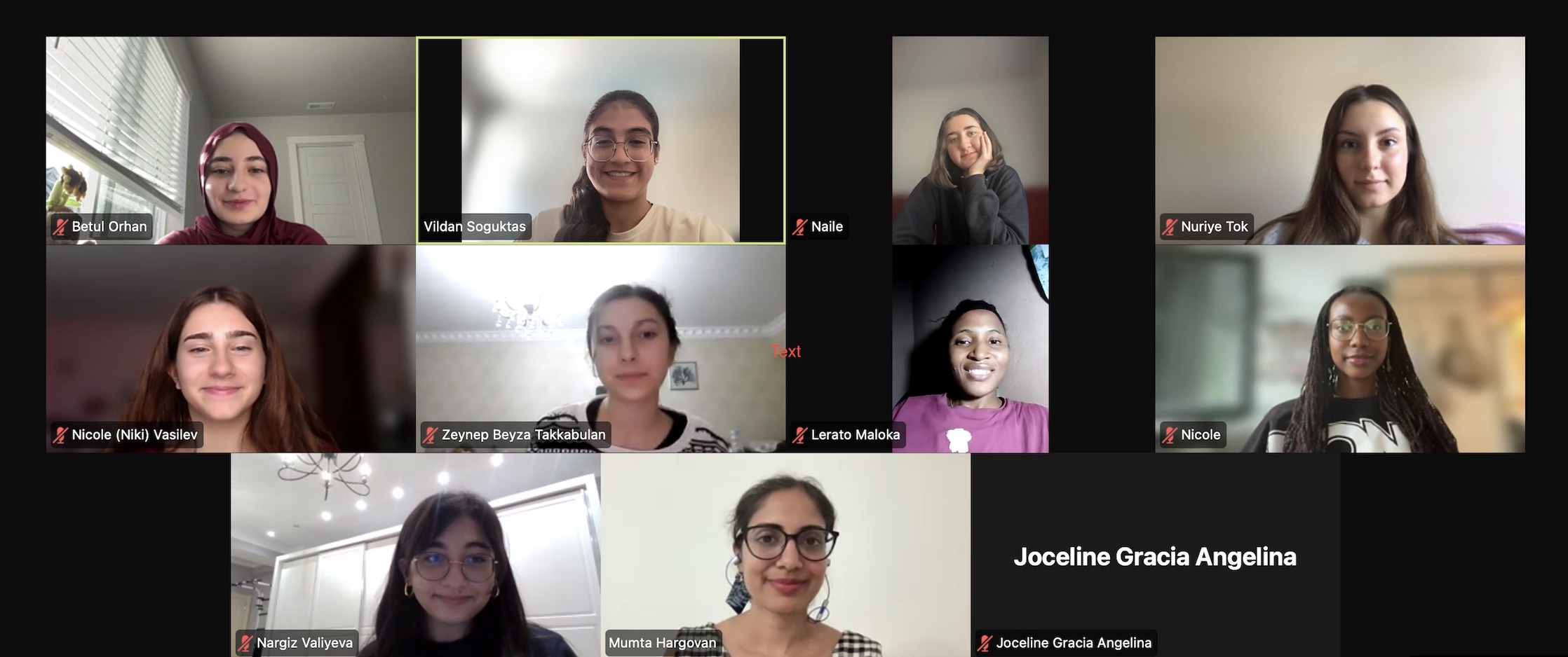 Vildan Soguktas - Inspiring Change: The Next Generation of Women Leaders in Climate and Planetary Health - Image 4