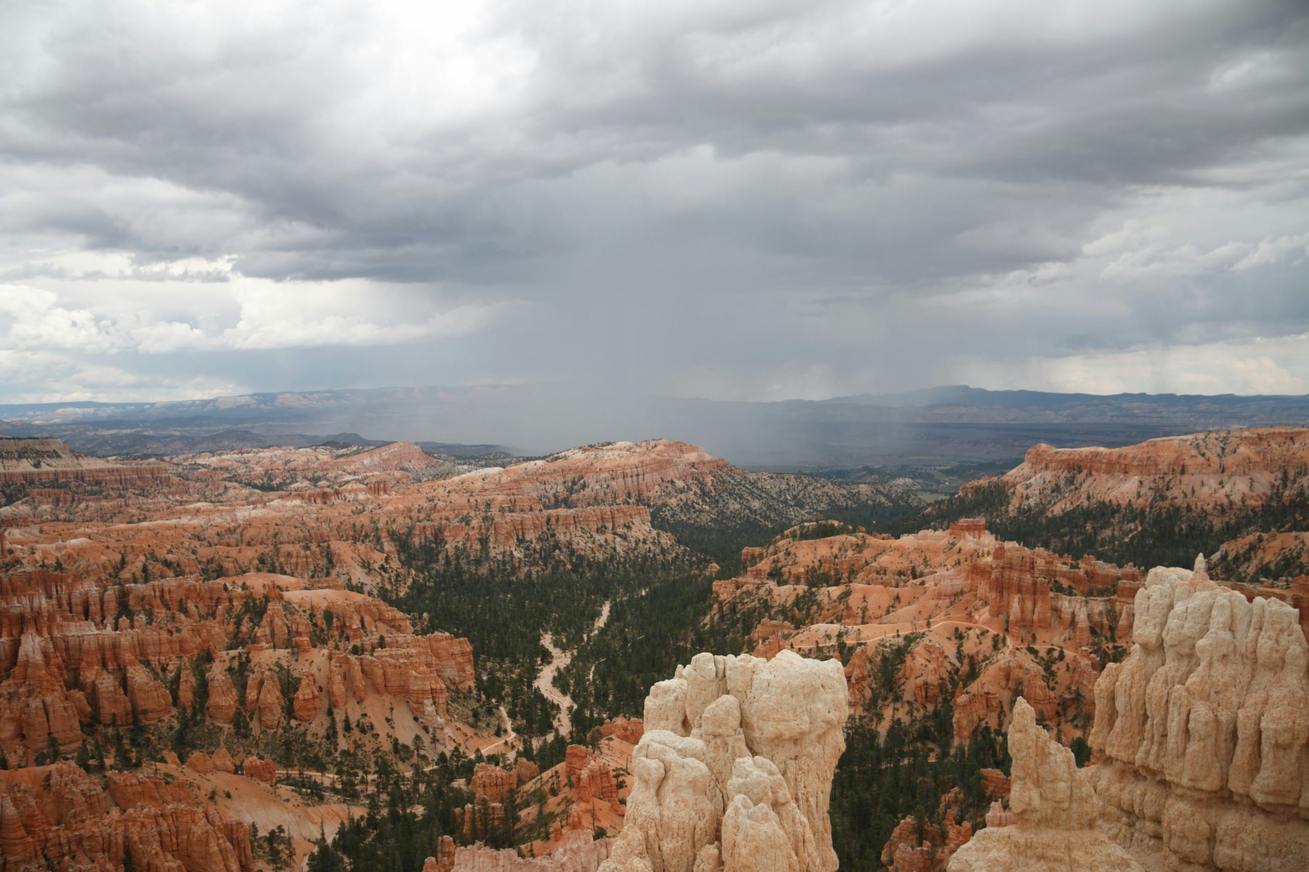 A rainstorm moves over the Bryce Canyon amphitheater, seen from the rim.