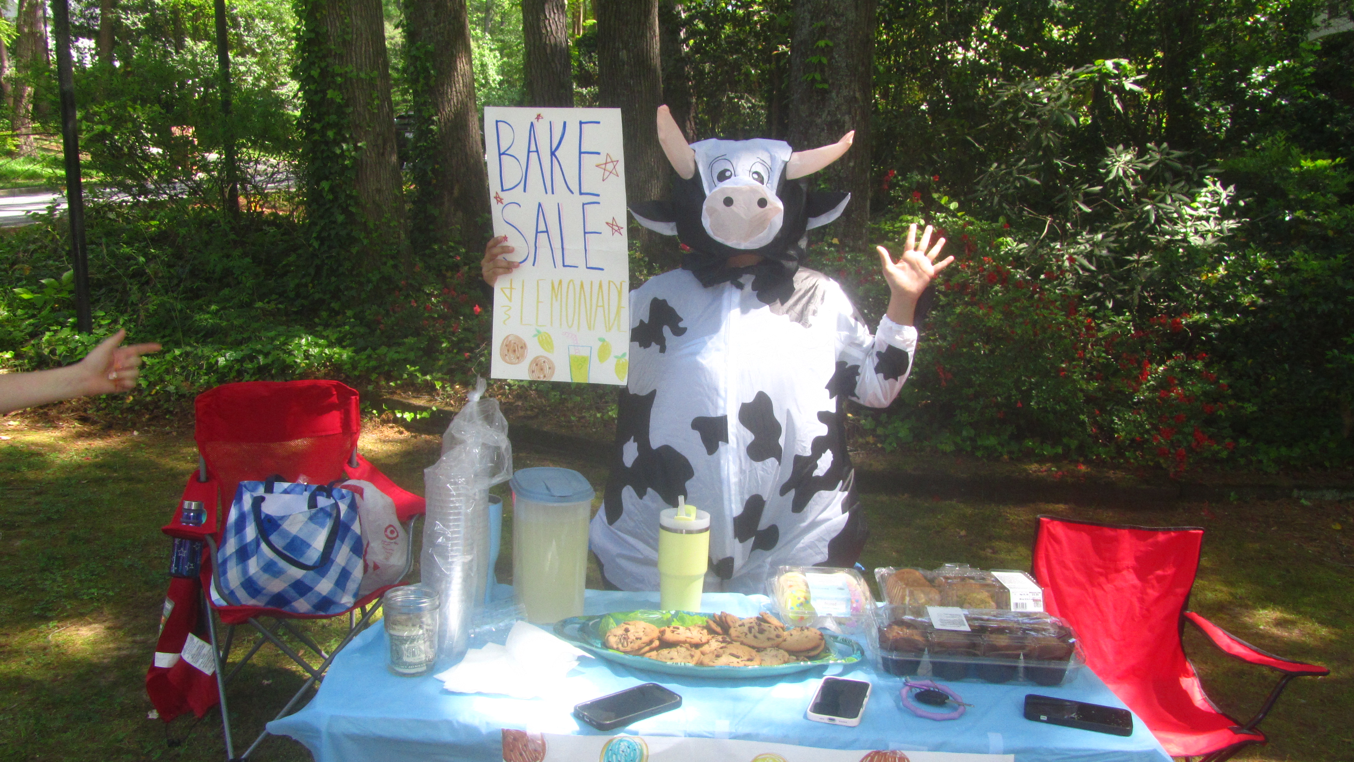 Aarya Bhatt - Cows, Climate, and Change: Youth Advocacy Starts Here. - Image 1