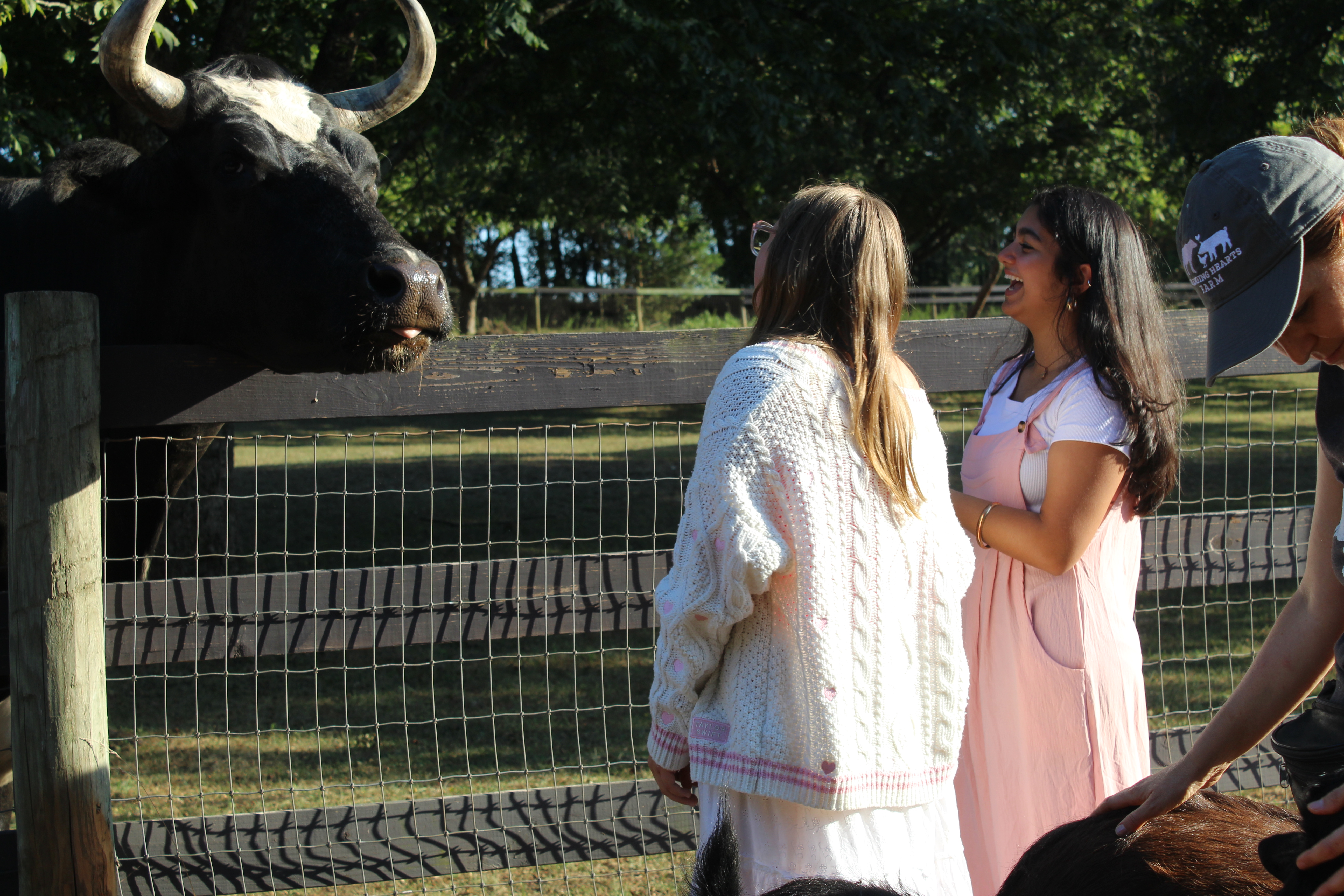 Aarya Bhatt - Cows, Climate, and Change: Youth Advocacy Starts Here. - Image 3