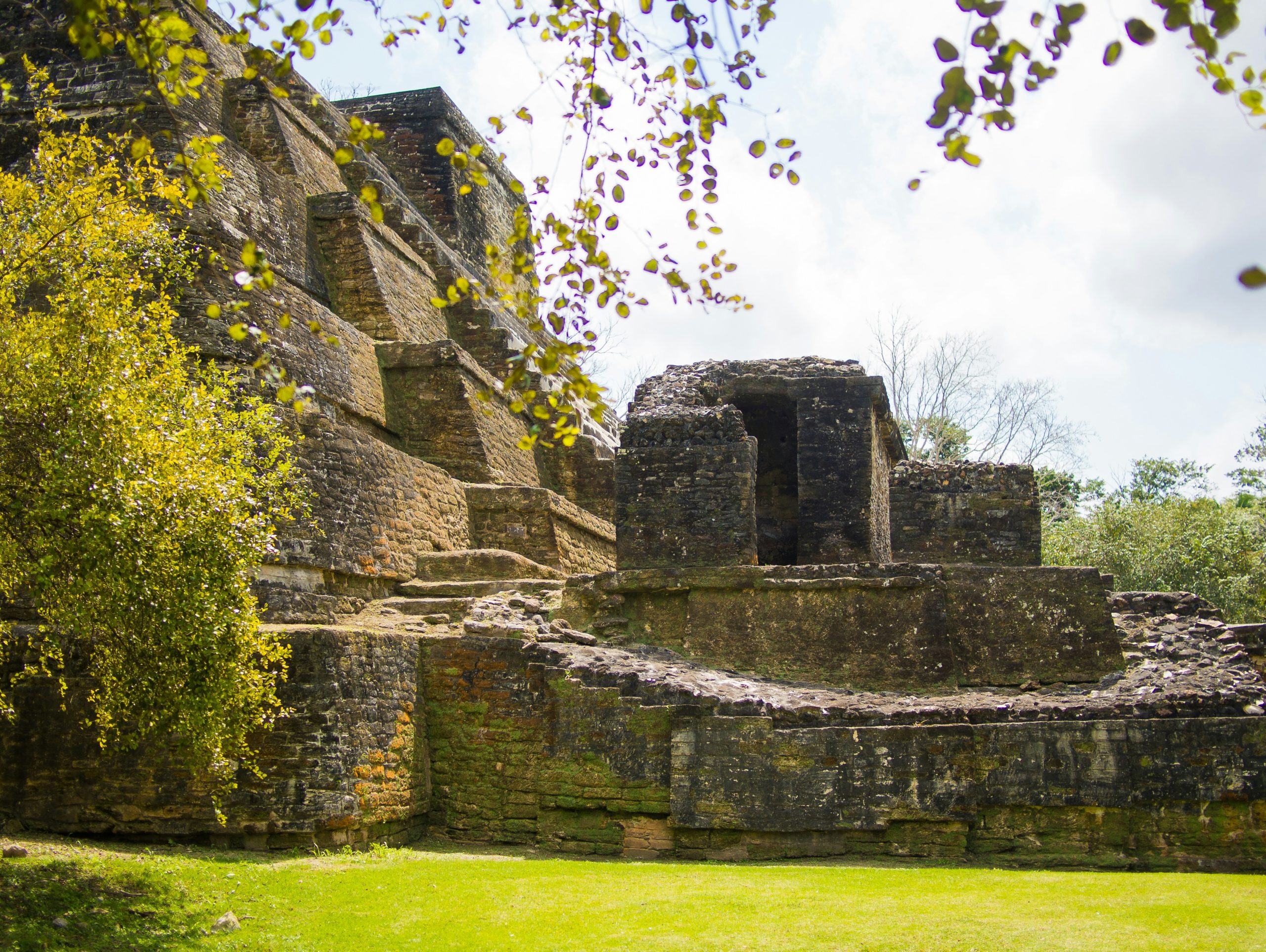 Ancient Maya ruins rise beside a grassy clearing surrounded by jungle trees