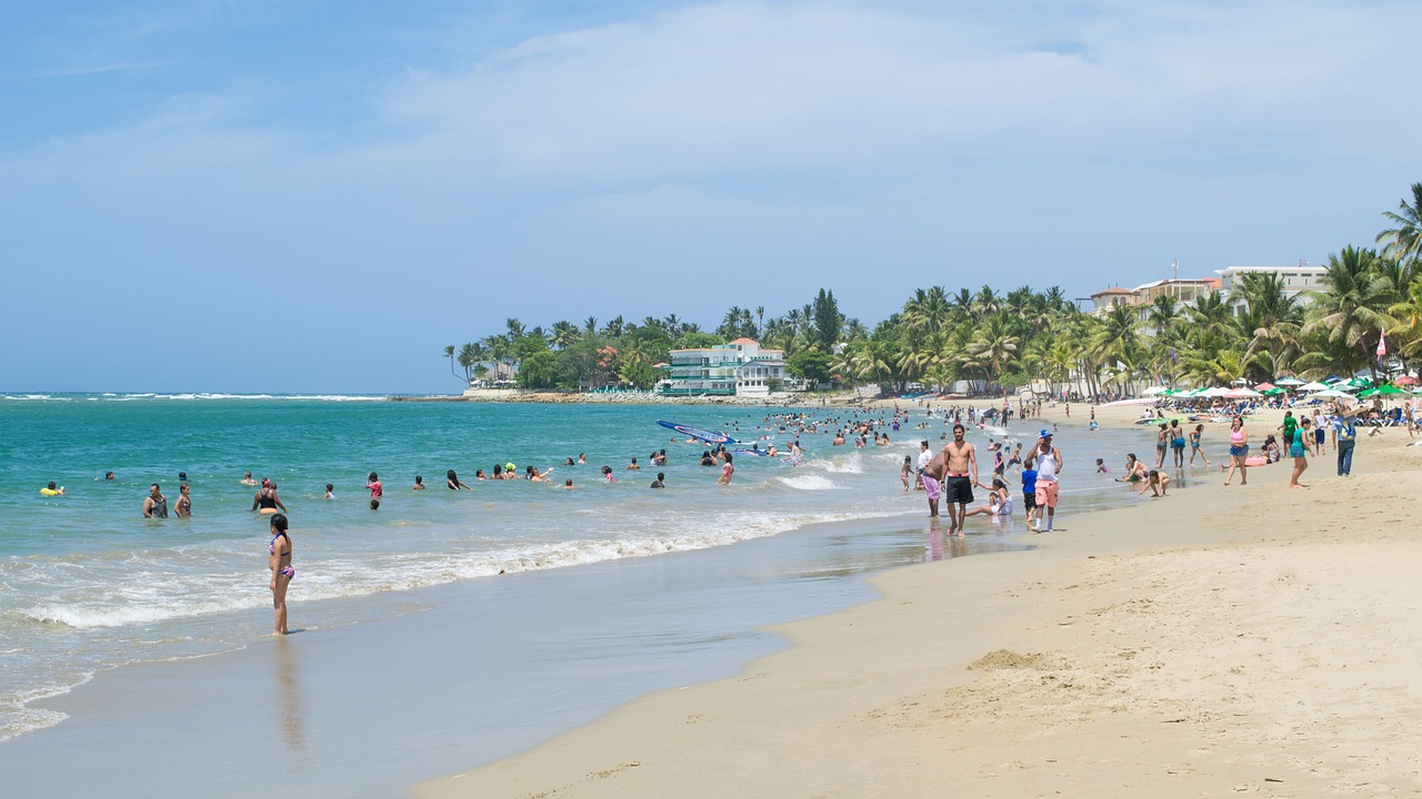 Beachgoers wade in the surf along a wide sandy shoreline with palm trees in the distance