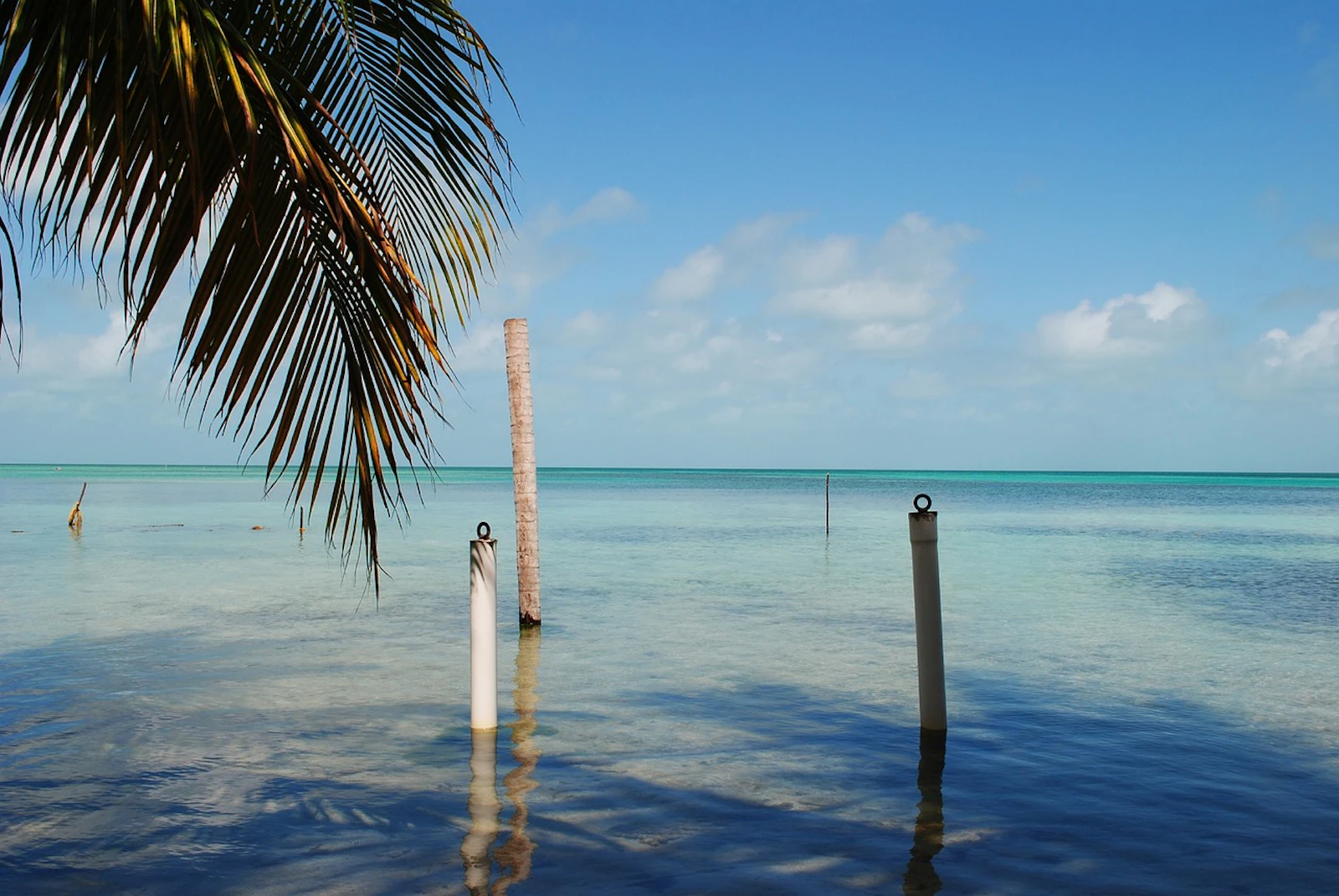Wooden posts stand in calm, clear water under a blue Belize sky
