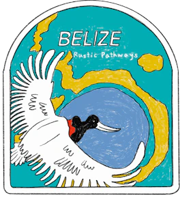 Illustrated Belize sticker: a white heron flying over turquoise water and a gold reef.
