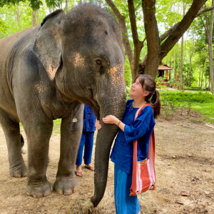 best service trips for teens a rustic pathways student girl holding on to an big elephant