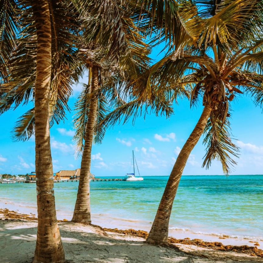 best service trips for teens photo of palm trees on the beach
