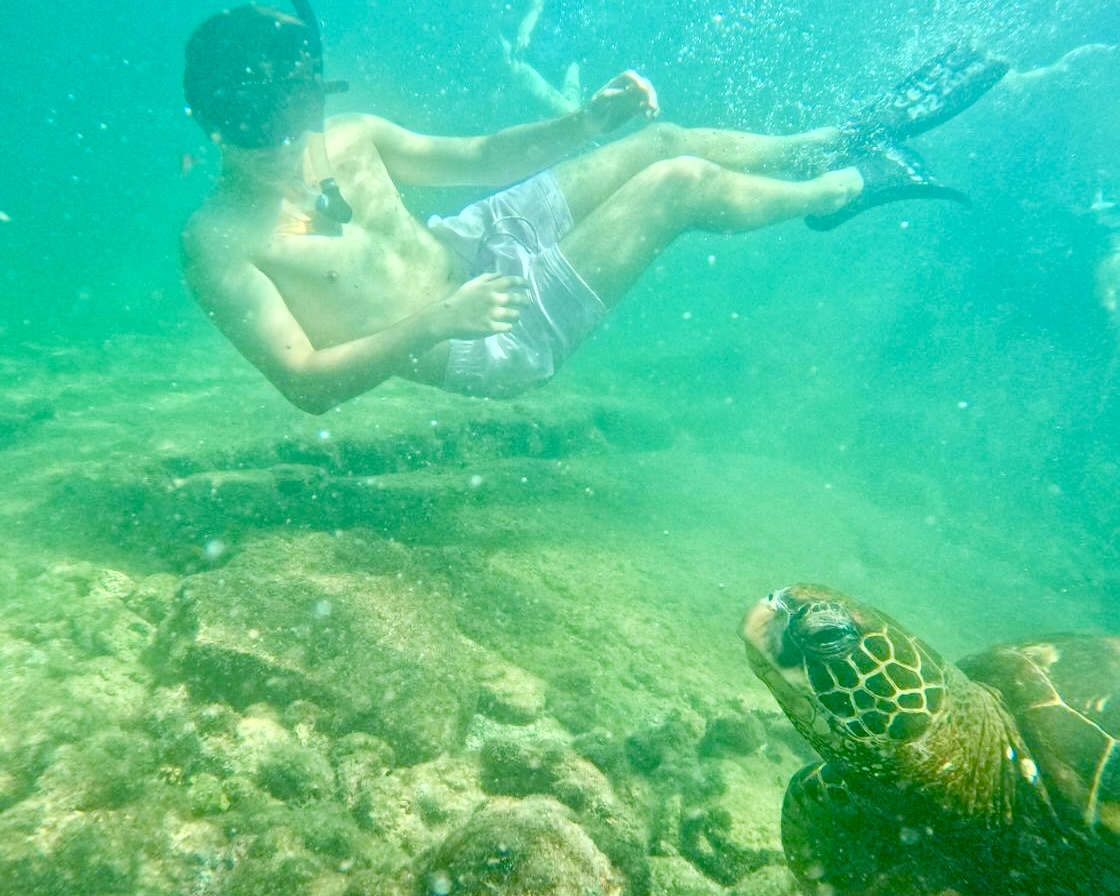 A teen snorkeler swims beside a green sea turtle over a rocky reef on a marine summer camp abroad
