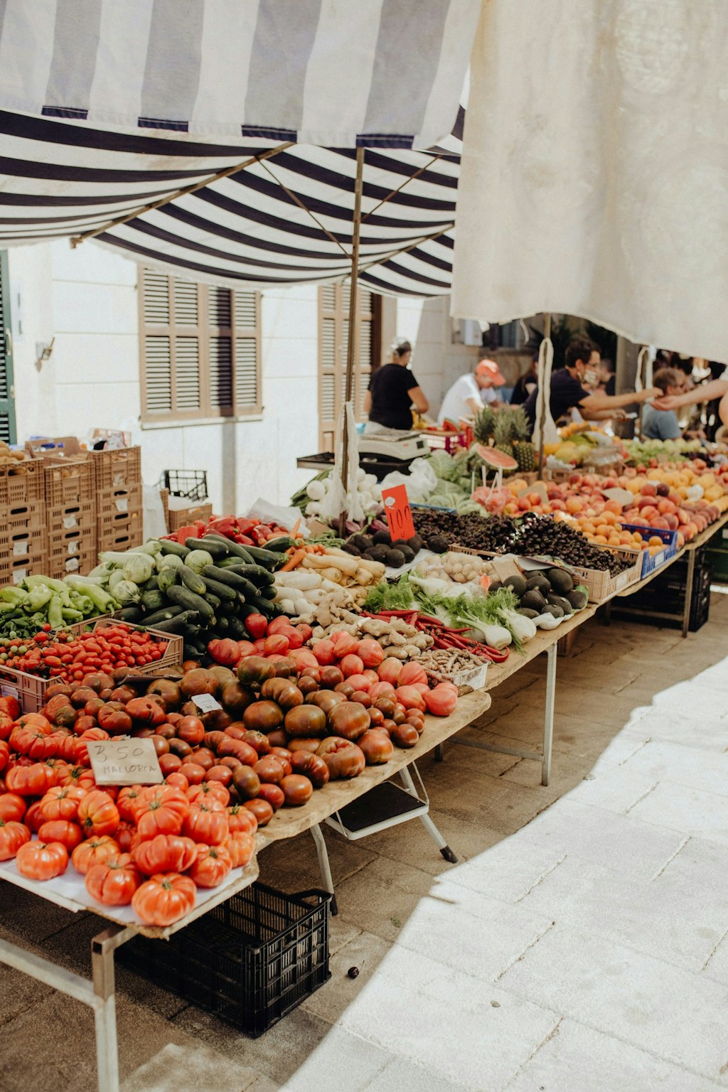 A market filled with fresh vegetables and fruits, like tomatoes, cucumber, avocado and much more. Fun Facts About Palma de Mallorca 