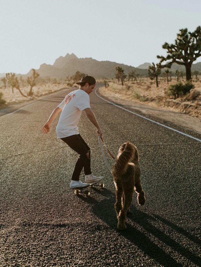 A man skates along the road while his dog trots alongside in the USA.
