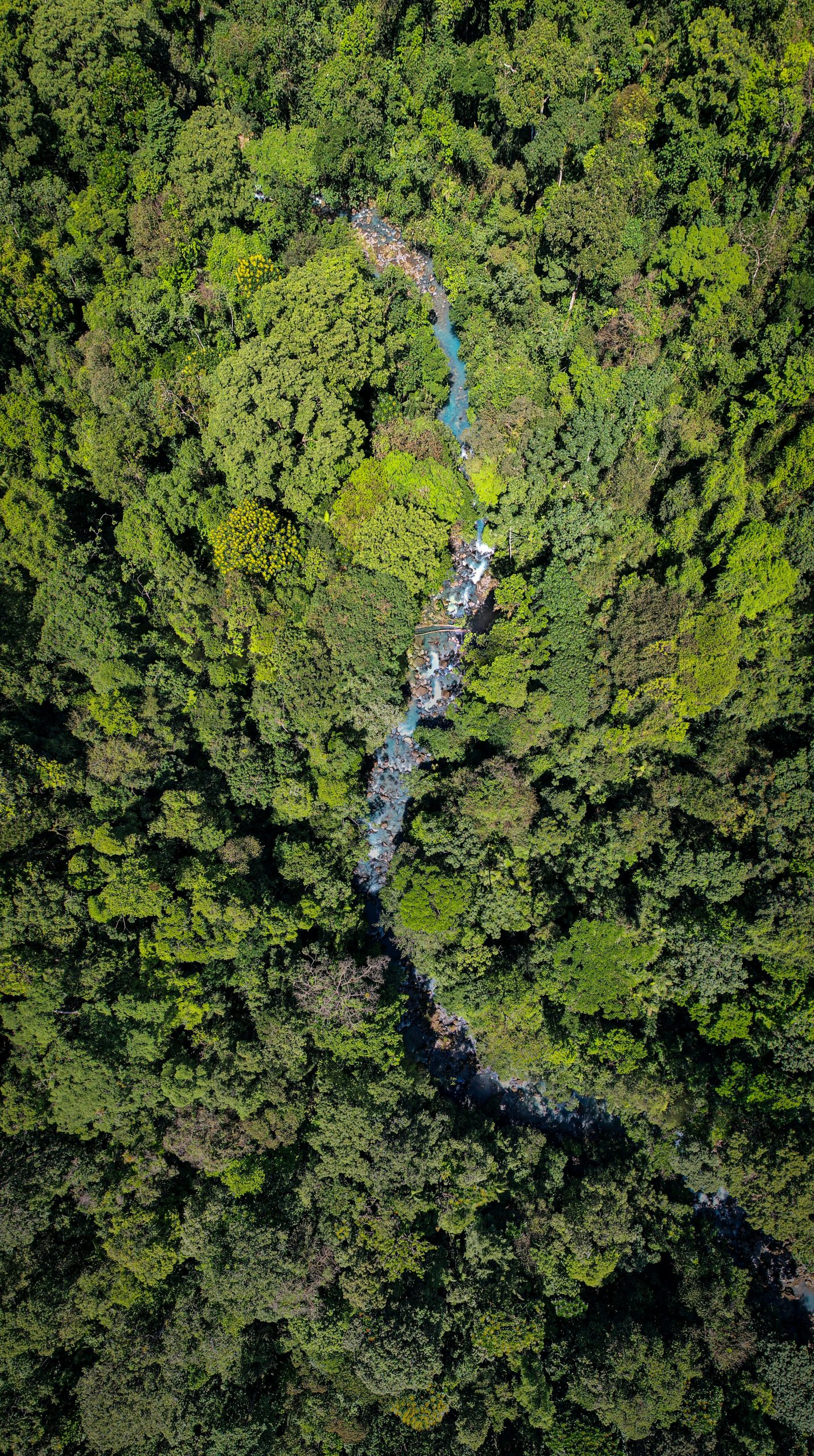 Aerial view of river in Costa Rica.