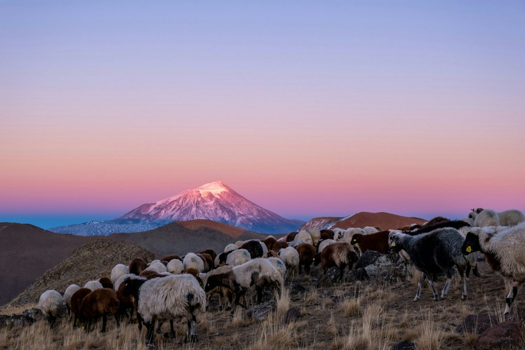 A landscape featuring Mount Ararat while the sun is setting.
