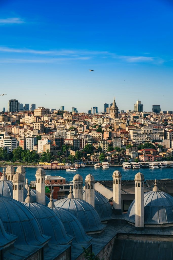 This image shows a panoramic view of Istanbul, Turkey, from a vantage point overlooking the domes of a mosque in the foreground. The city's skyline features a mix of historic and modern buildings, including the prominent Galata Tower. The Bosphorus strait is visible, dotted with boats and ferries, while seagulls fly above under a clear blue sky.
