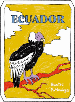 Illustrated Ecuador sticker: an Andean condor perched on a bare branch against gold.