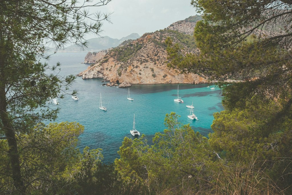 Boats anchored in a serene cove surrounded by rocky hills and green trees in Palma de Mallorca. Fun Facts About Palma de Mallorca