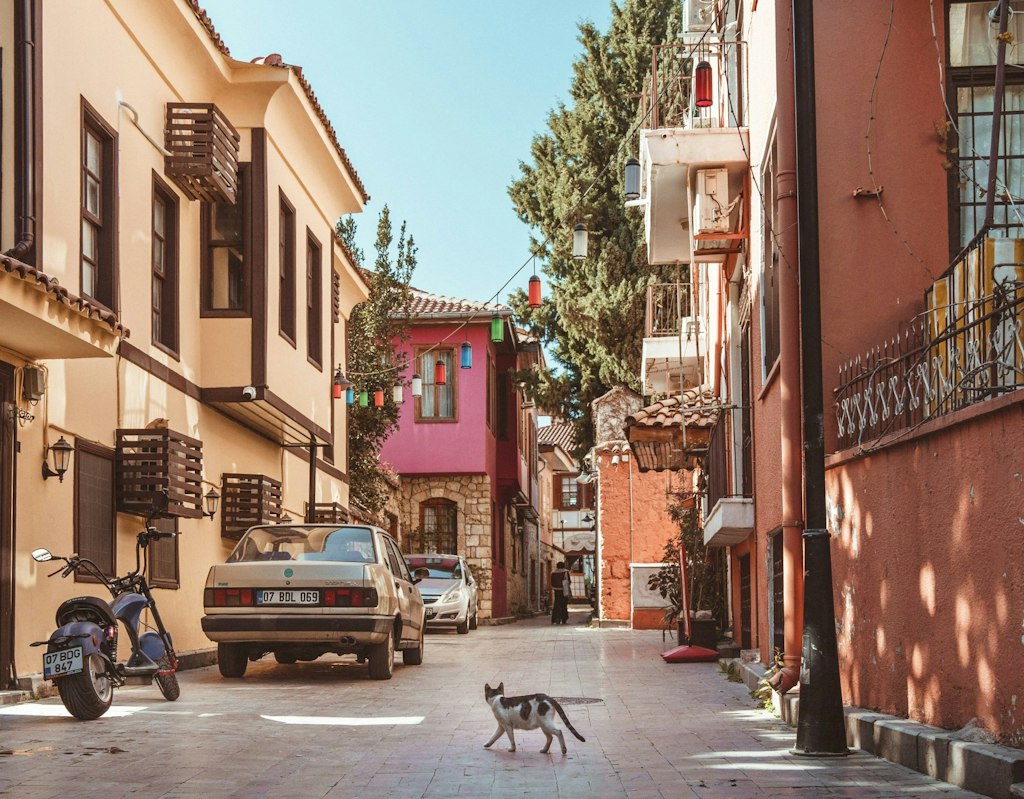 A cat walks across a narrow street in Antalya, Turkey.