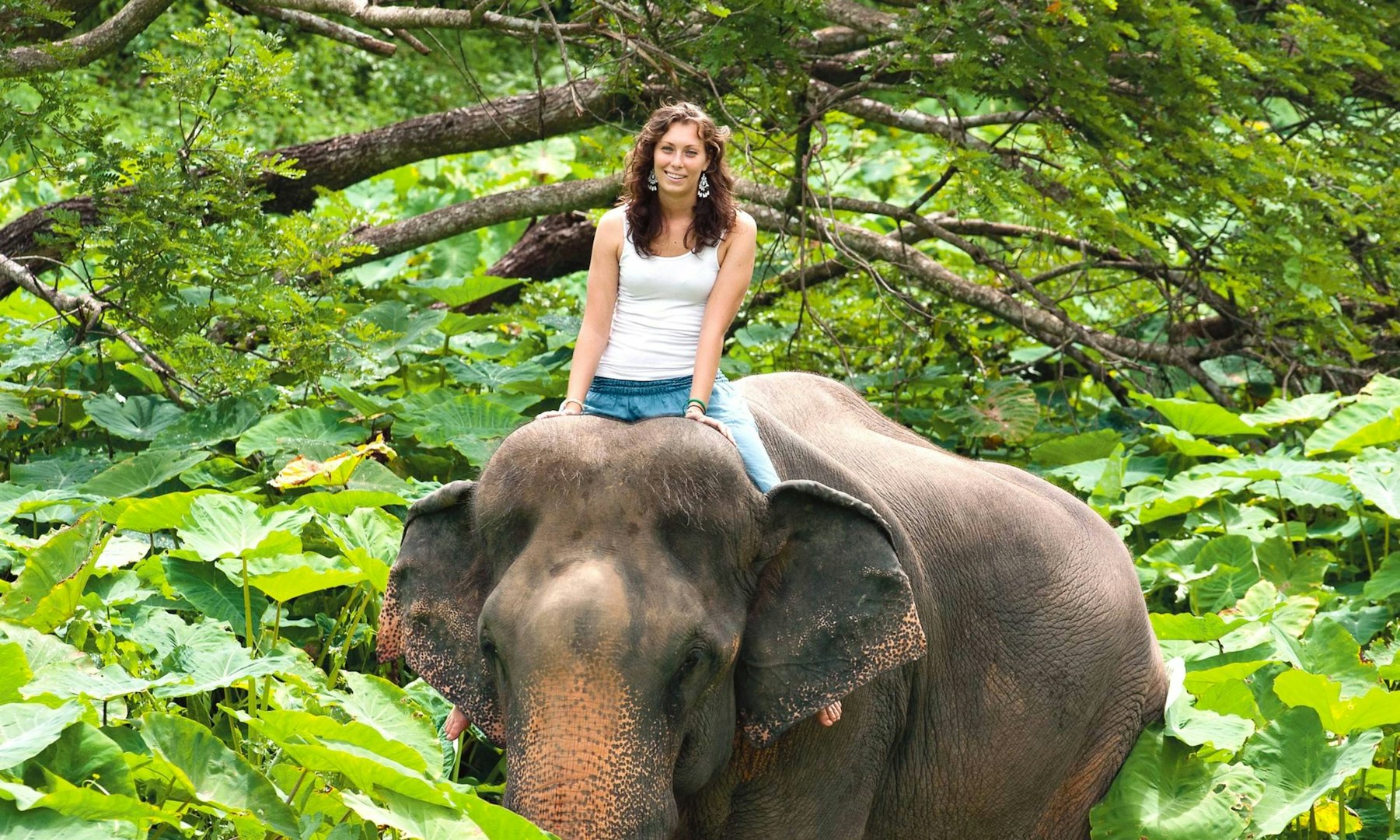 Gap year vs college: student exploring wildlife and culture on a gap year adventure.