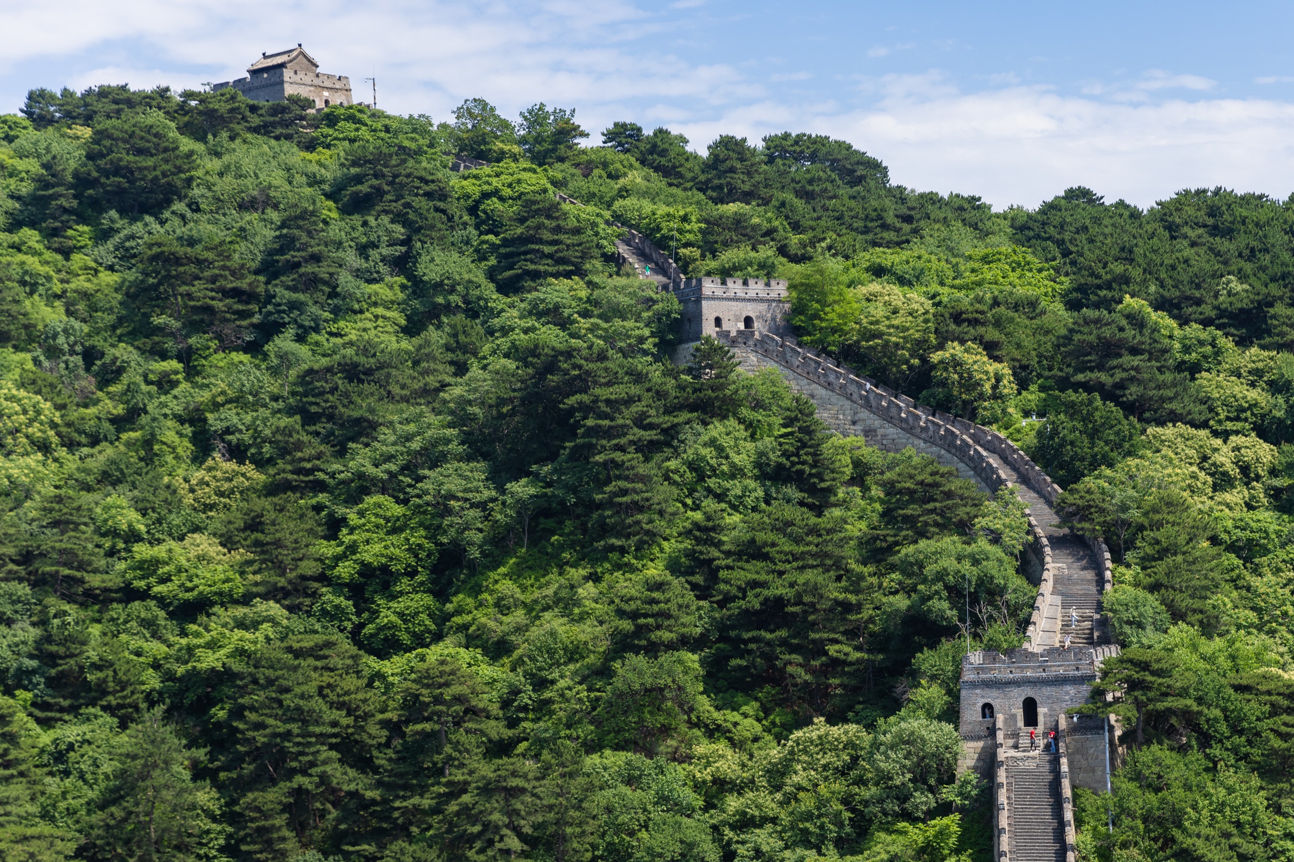 A restored section of the Great Wall of China climbing a forested ridge between stone watchtowers