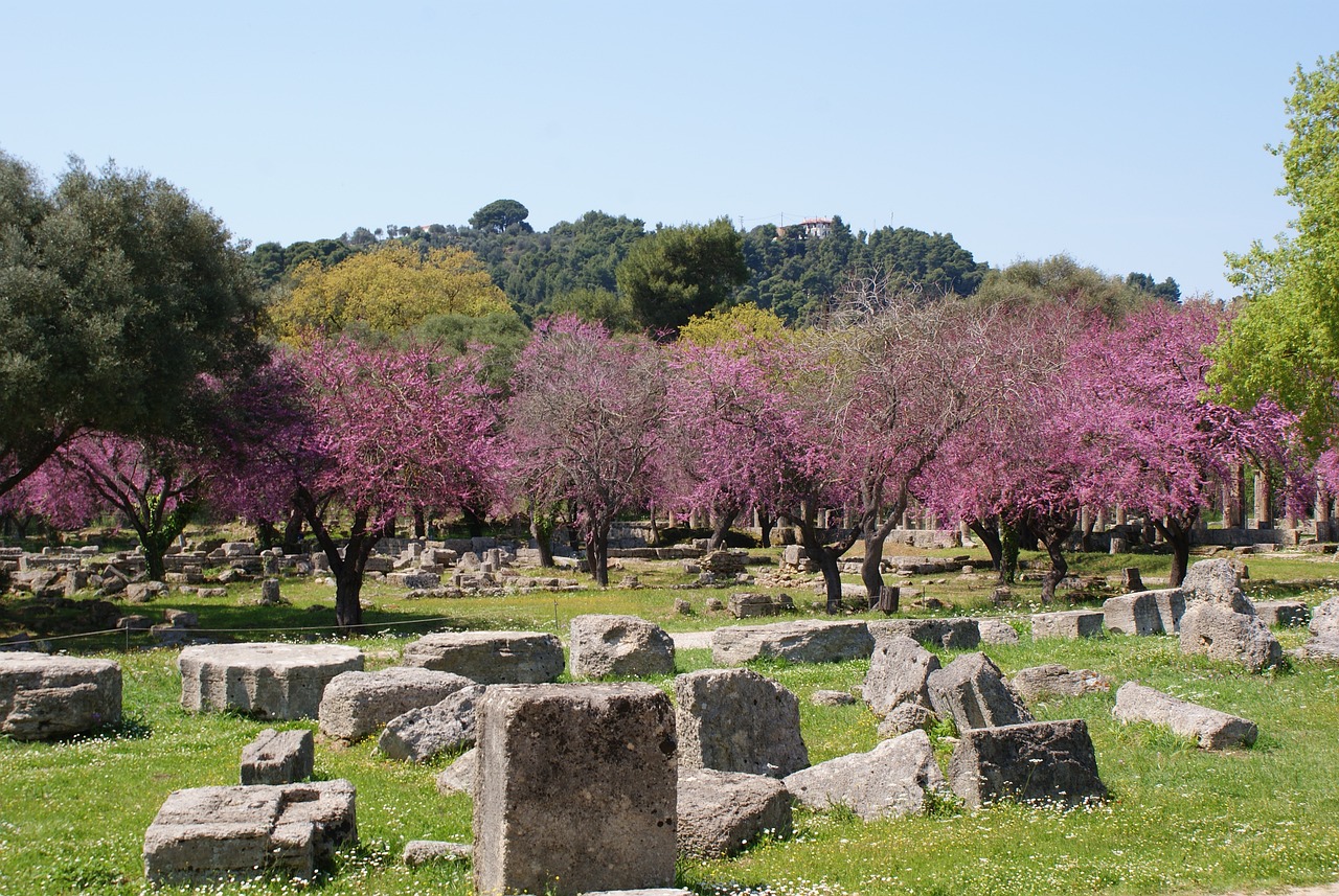 Ancient ruins scattered among blooming pink trees at an archaeological site