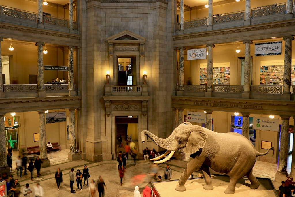 Hall of Smithsonian National Museum of Natural History in Washington.