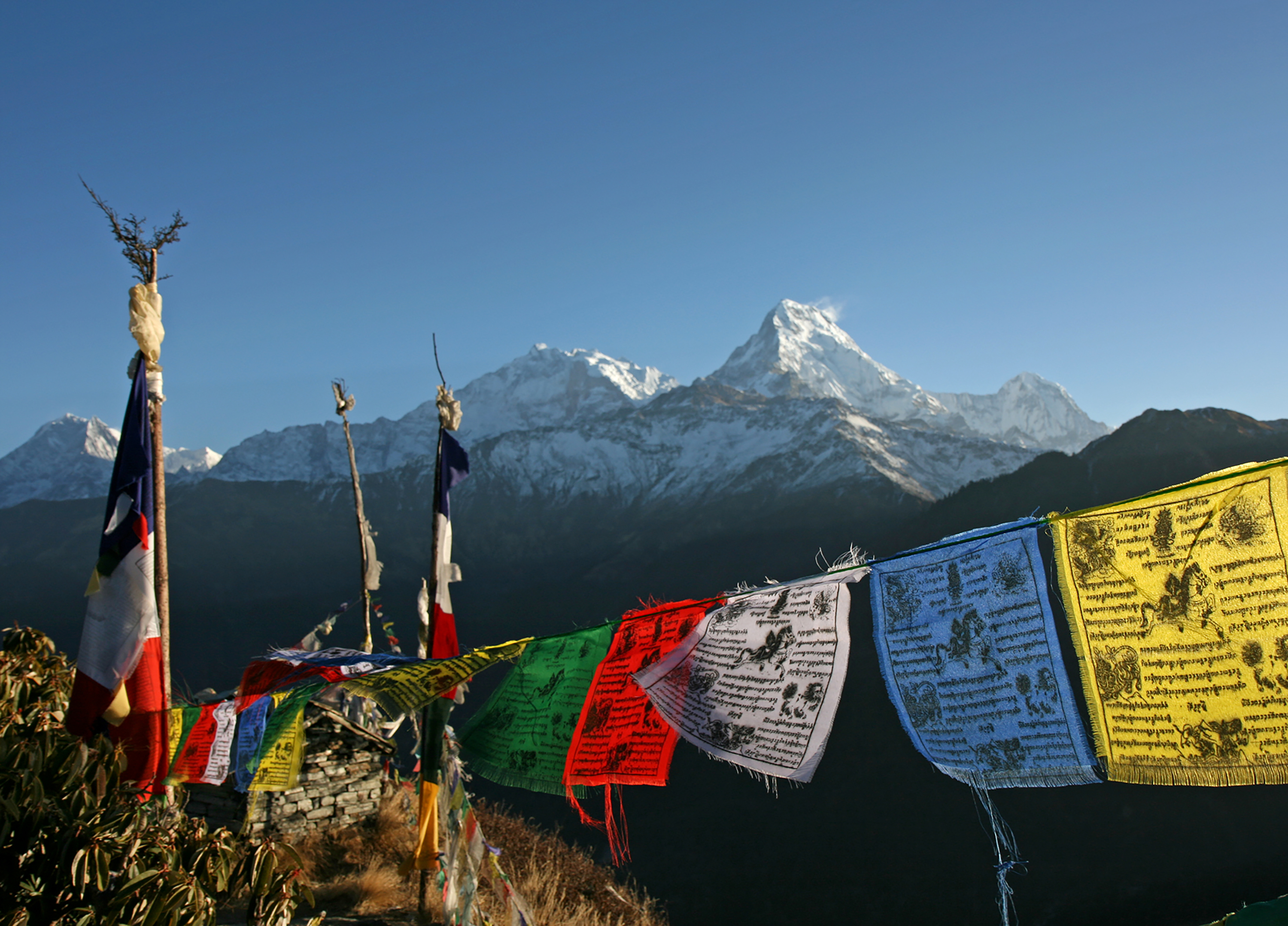 Lines of prayer flags in five colors stretch across the frame before the snow peaks of the Annapurna range under a clear sky.
