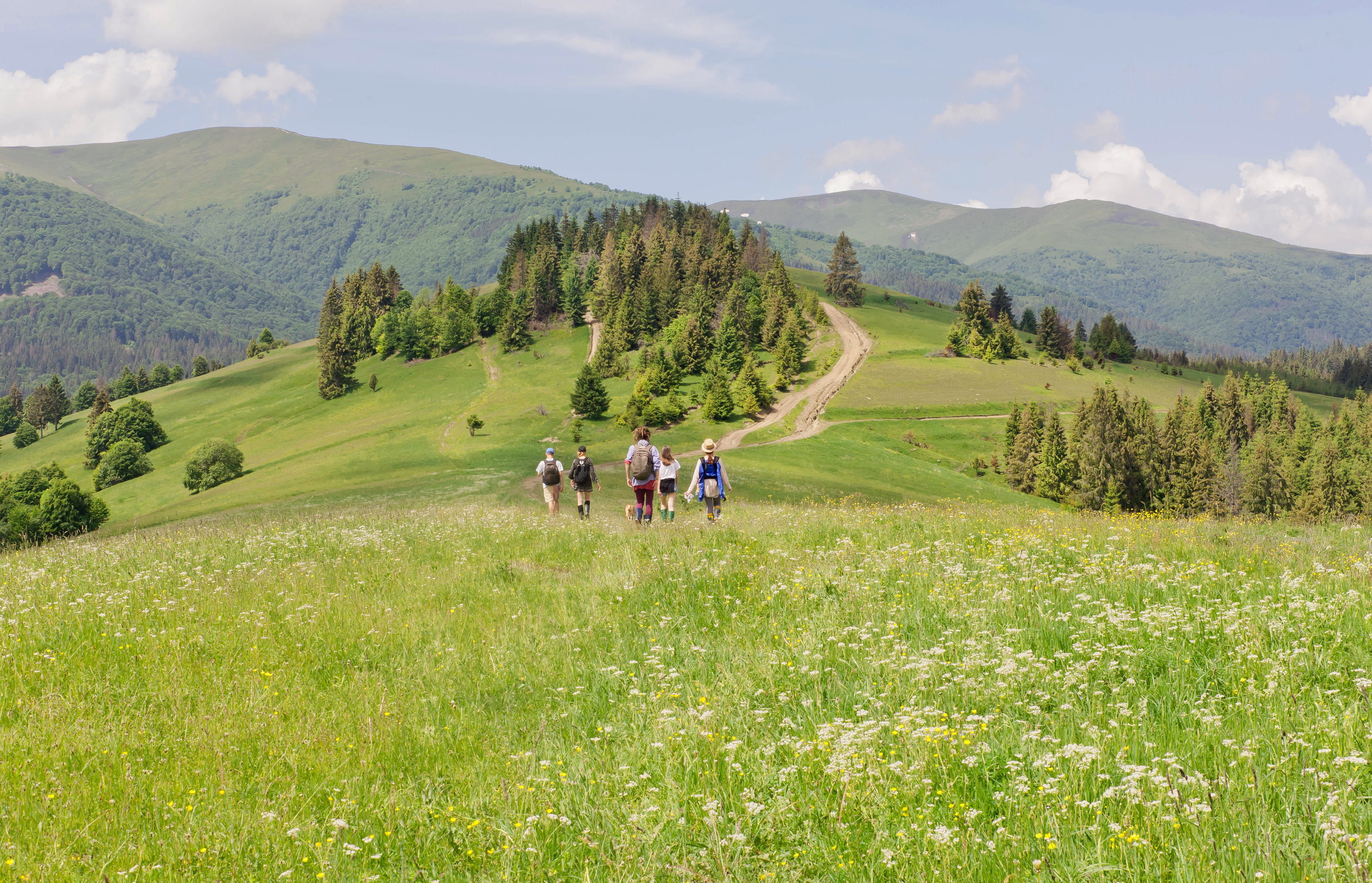 Students hike a grassy trail through rolling green hills