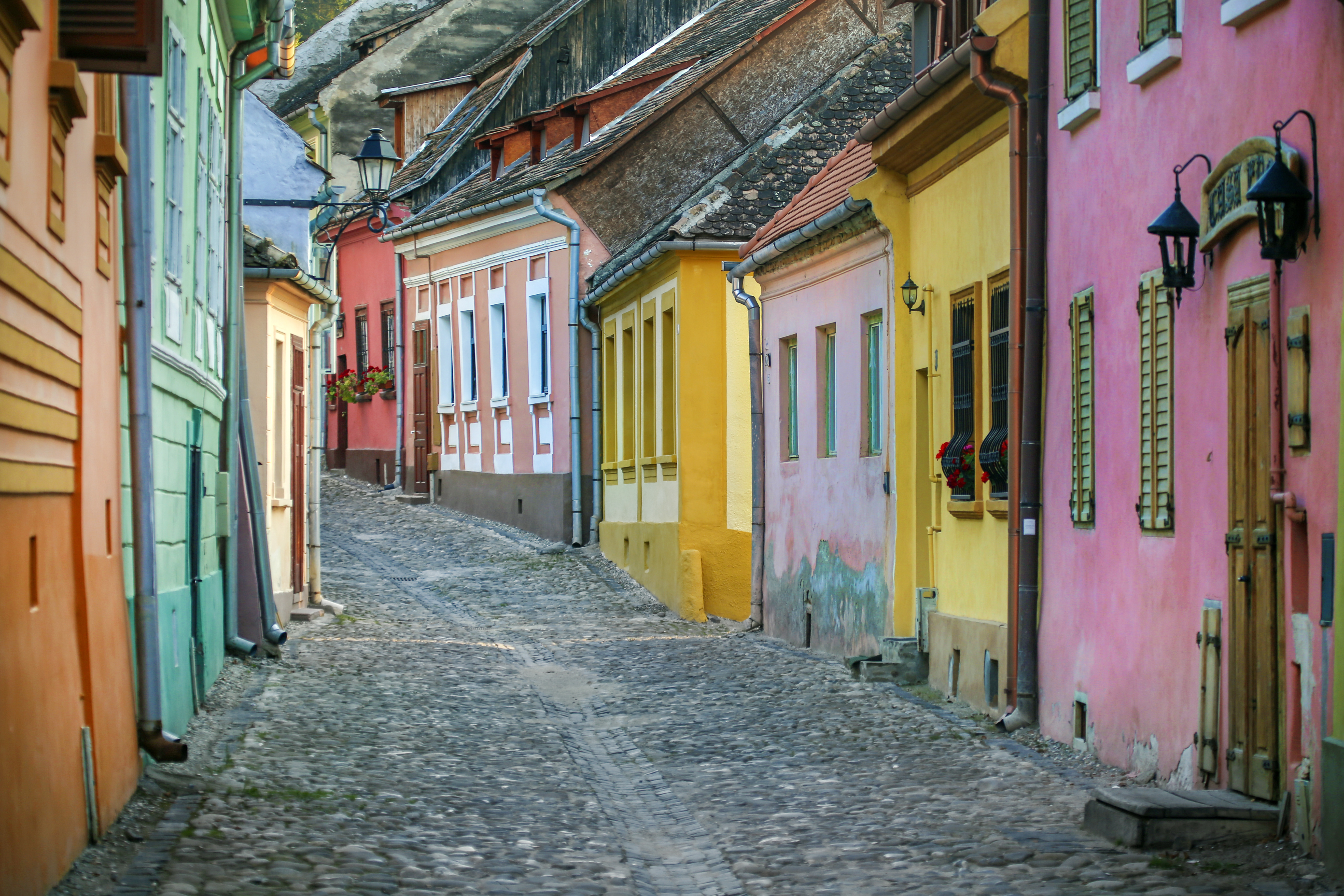 School Trip to the Balkans: History and Culture